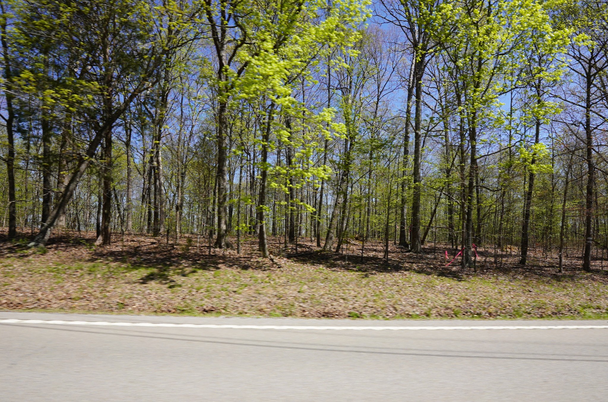 7 Highway 232 Property Photo 4