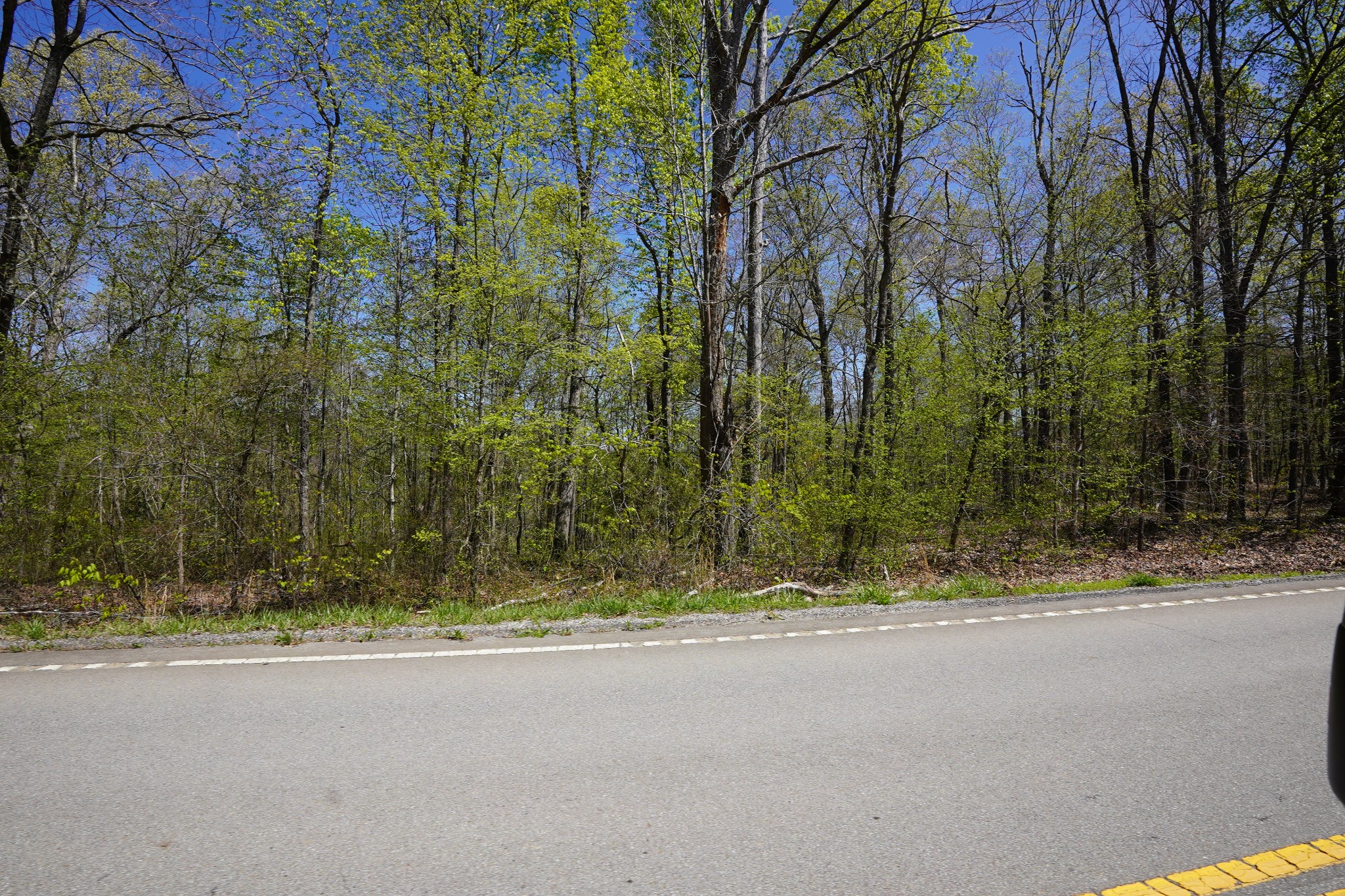 7 Highway 232 Property Photo 5