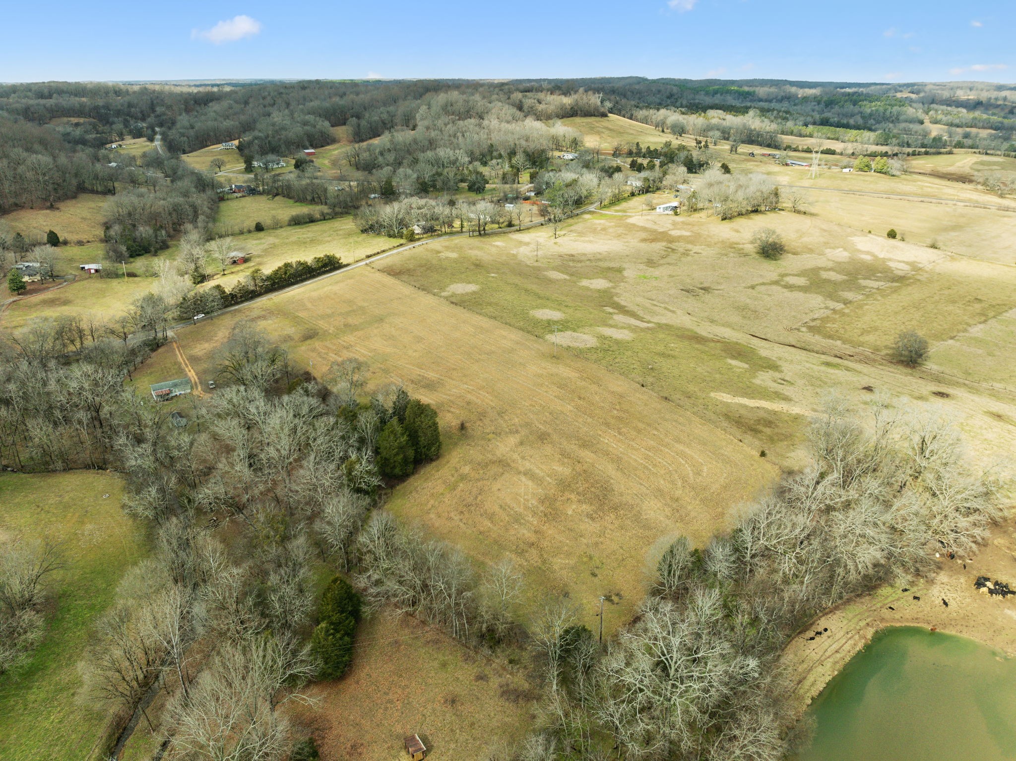 0 Leipers Creek Rd Property Photo 7