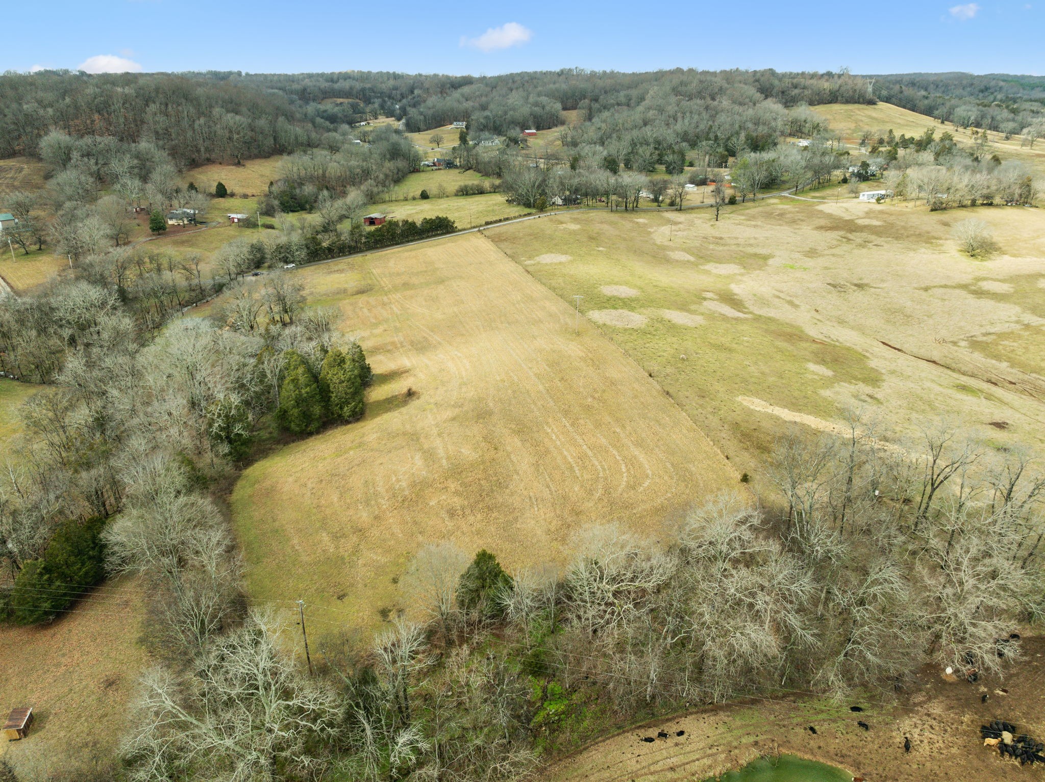 0 Leipers Creek Rd Property Photo 8