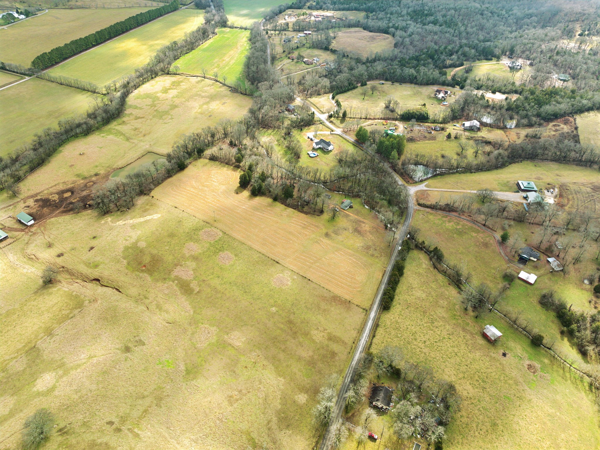 0 Leipers Creek Rd Property Photo 17