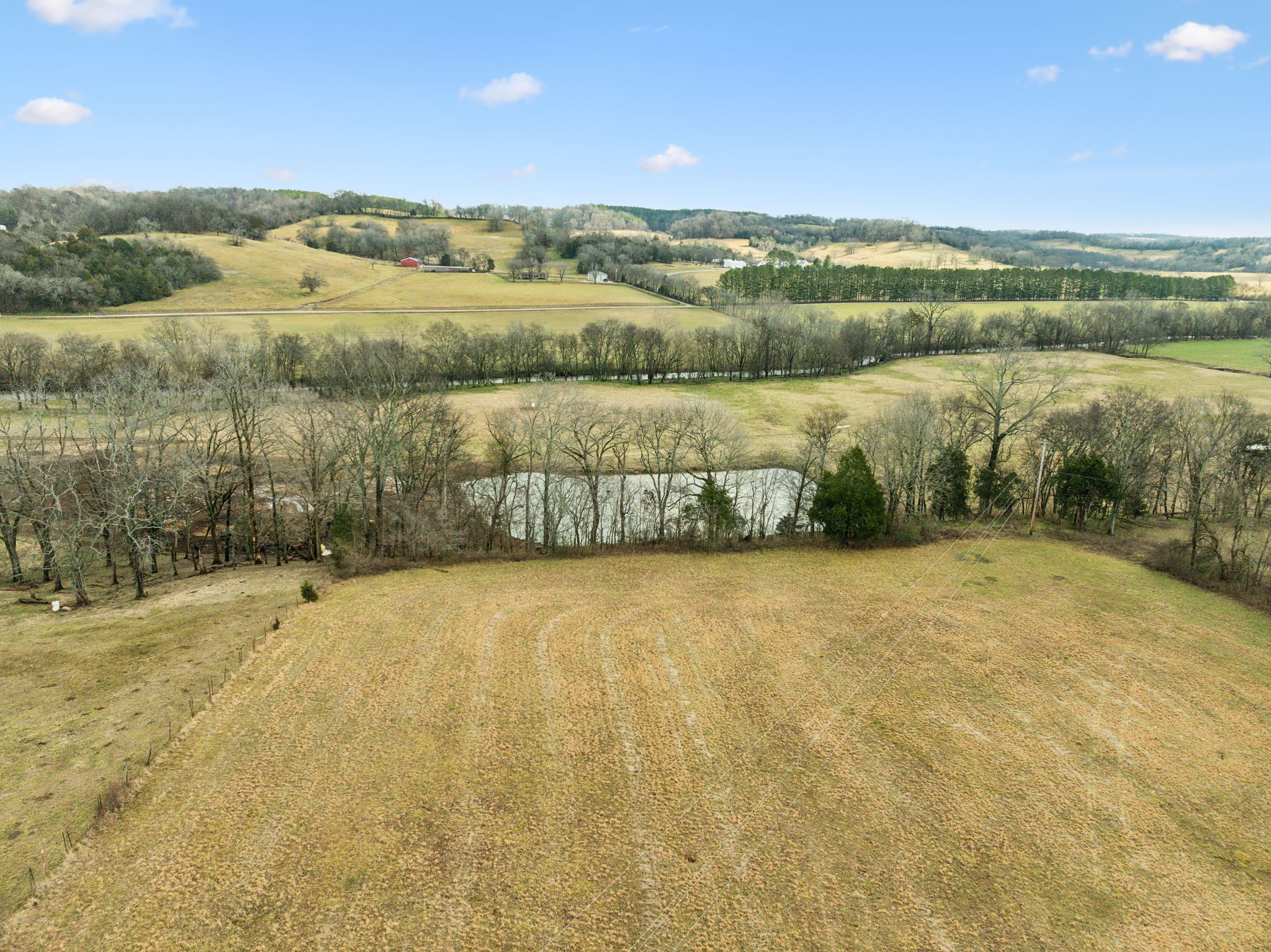 0 Leipers Creek Rd Property Photo 37