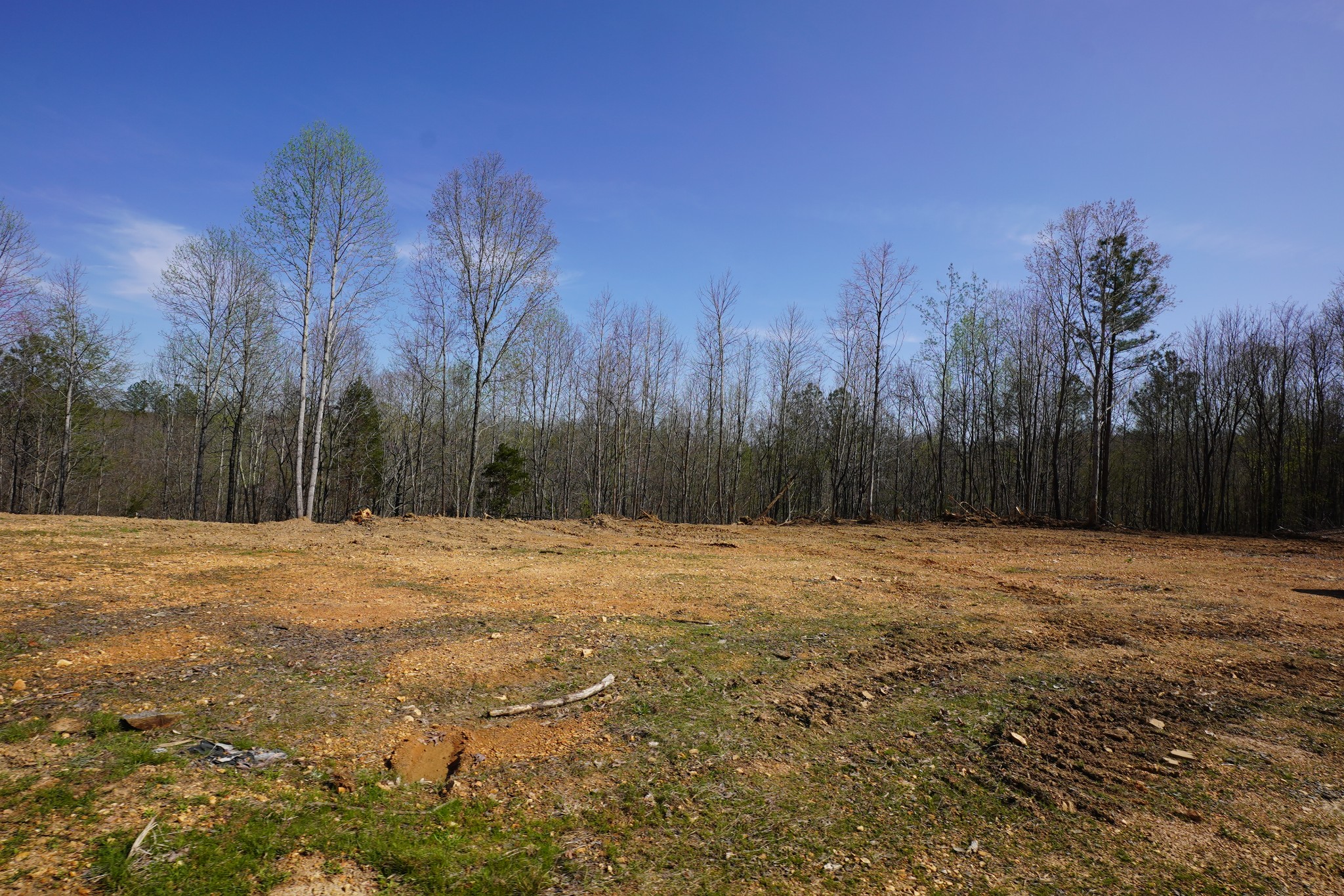 8 Highway 232 Property Photo 3