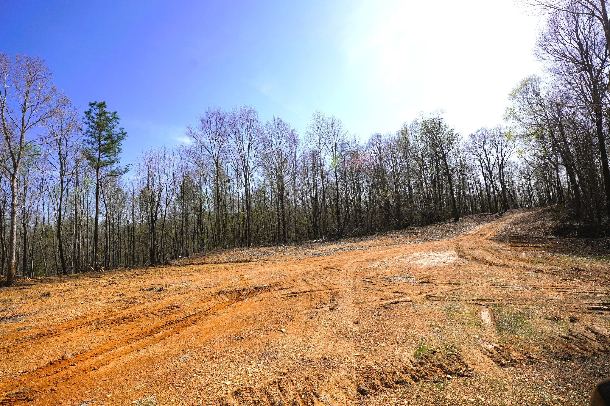 8 Highway 232 Property Photo 4