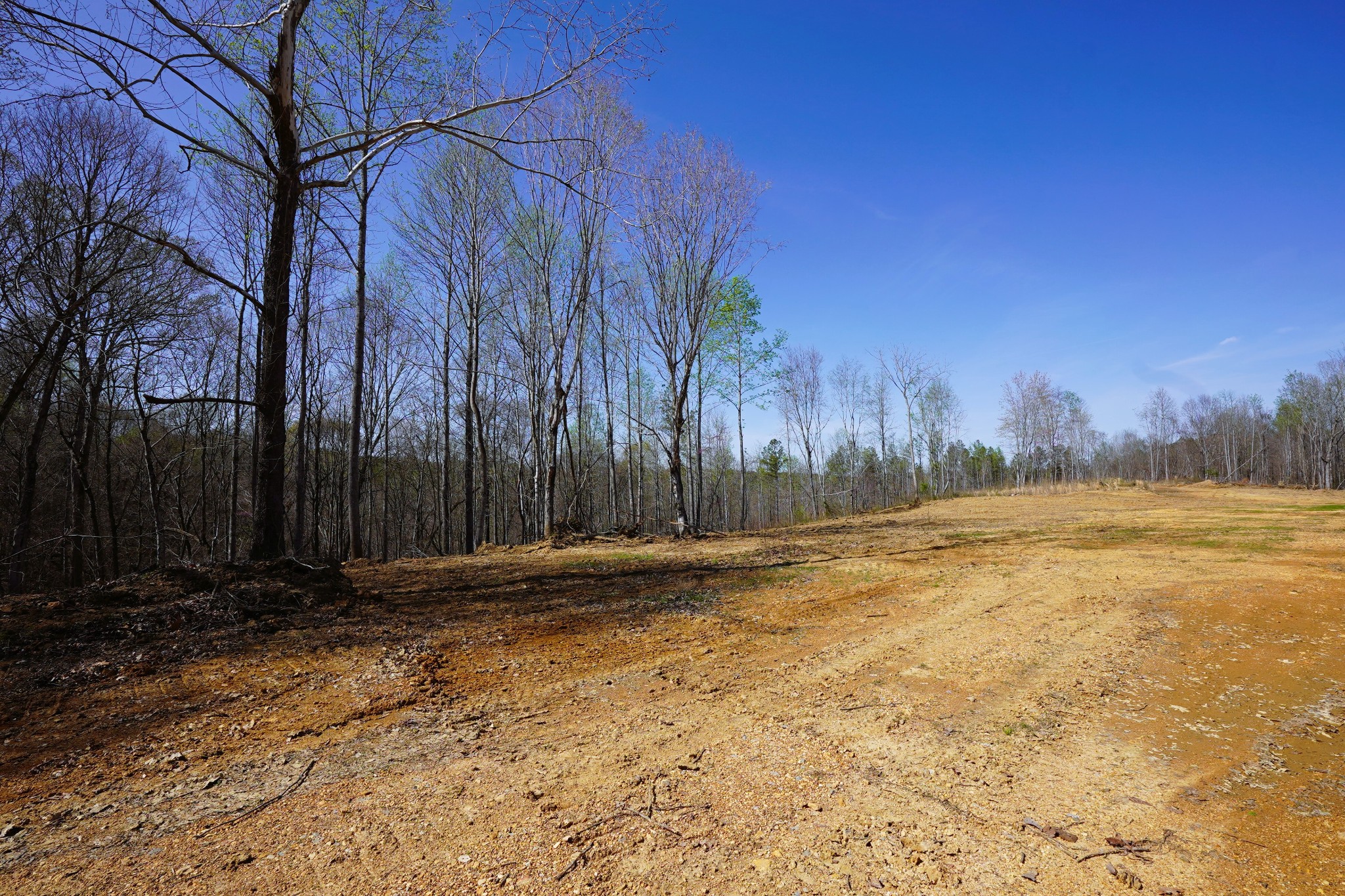 8 Highway 232 Property Photo 5
