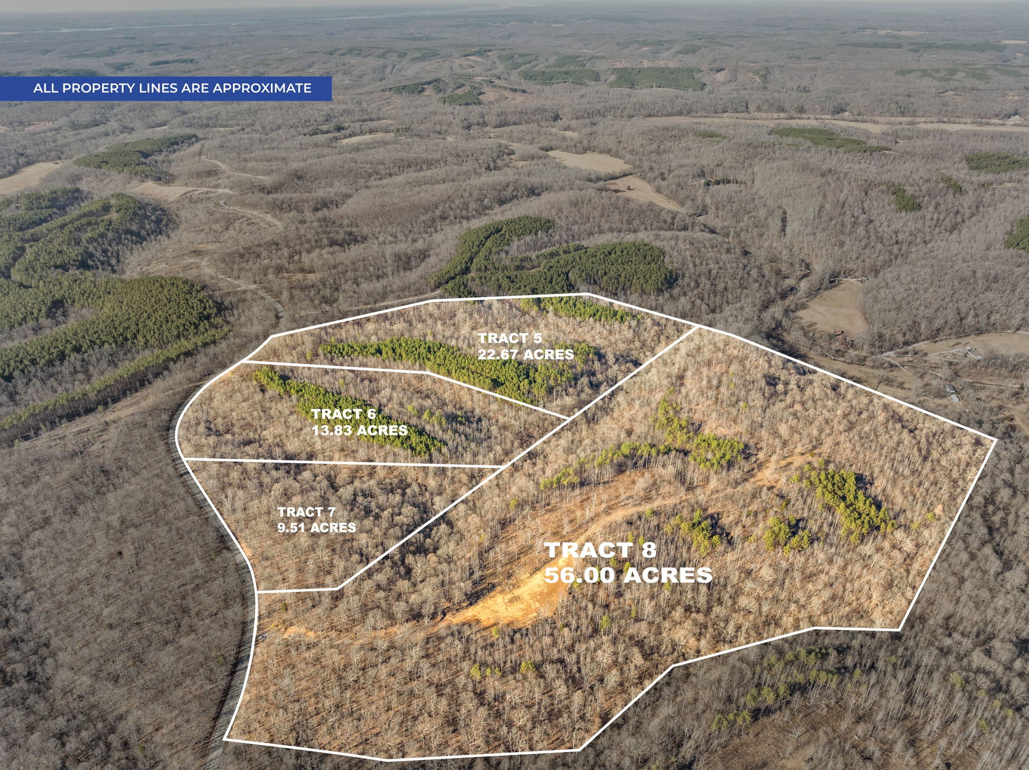8 Highway 232 Property Photo 6