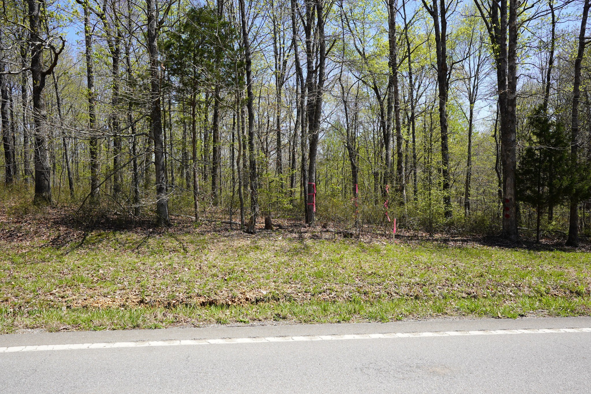 8 Highway 232 Property Photo 11
