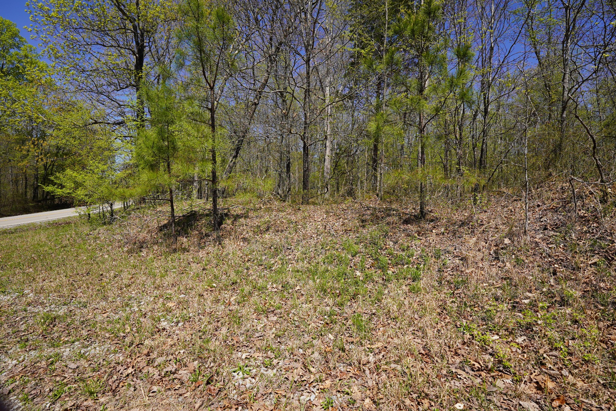 8 Highway 232 Property Photo 12
