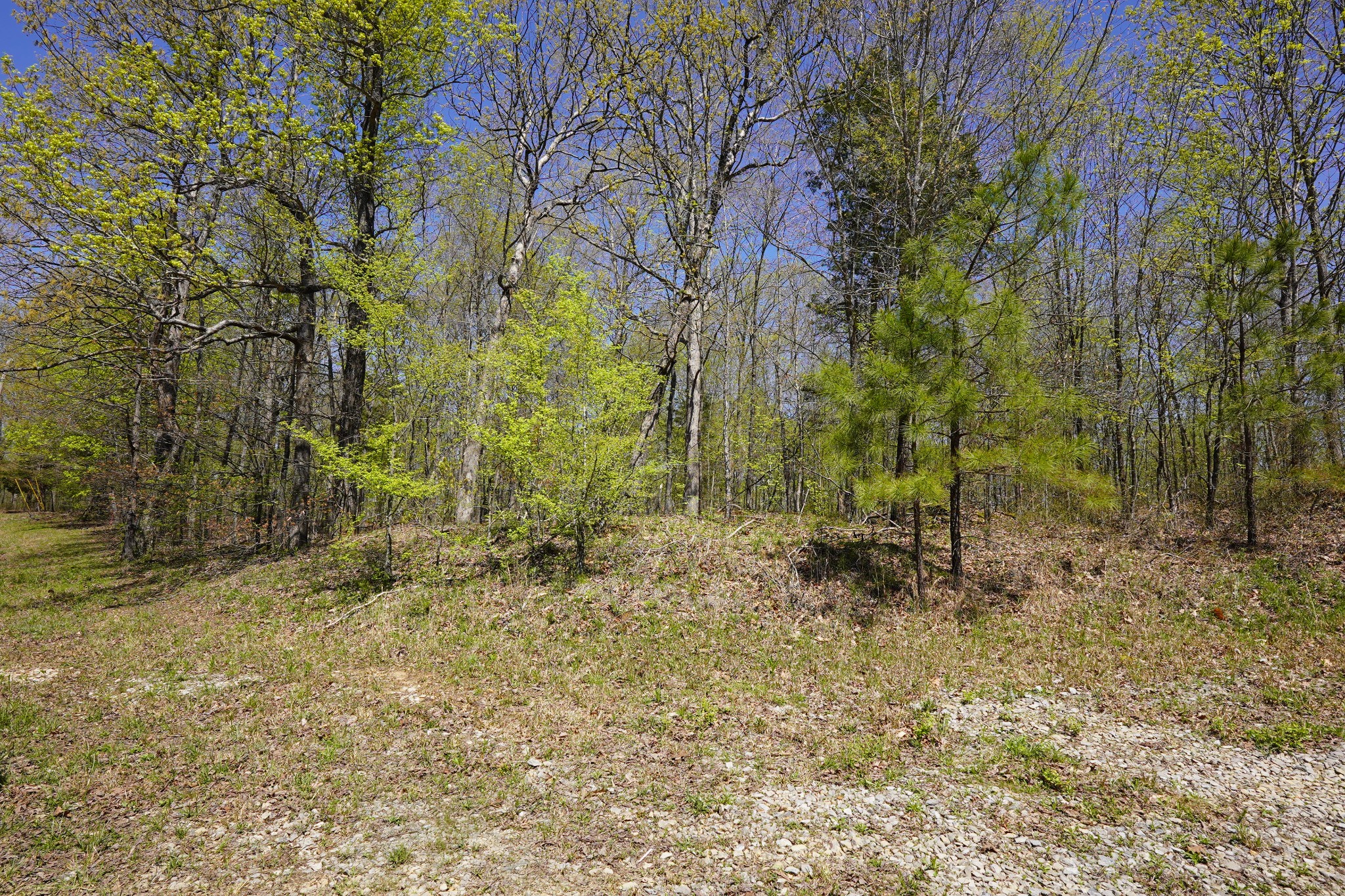 8 Highway 232 Property Photo 13