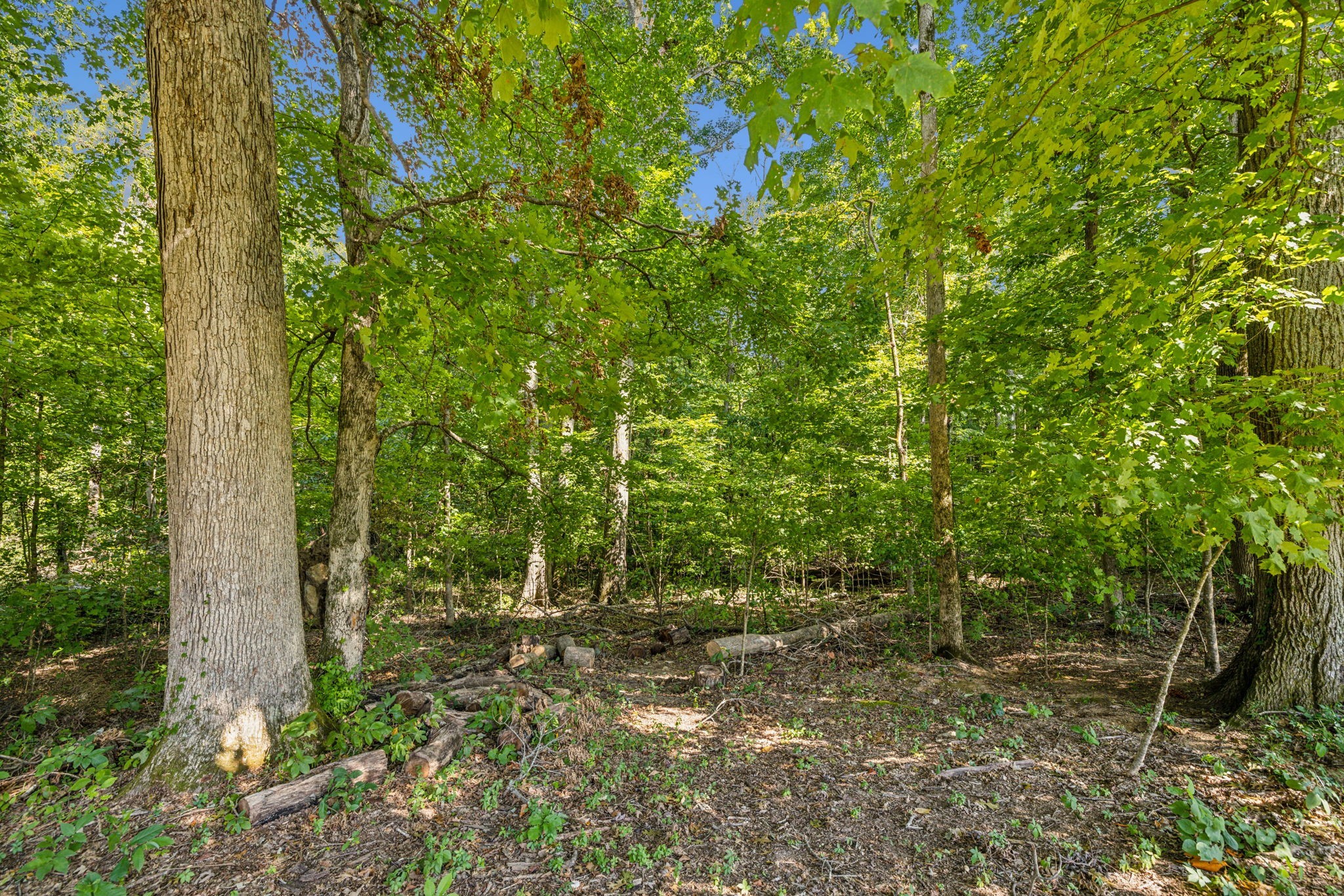 402 Zephyr Cove Property Photo 26