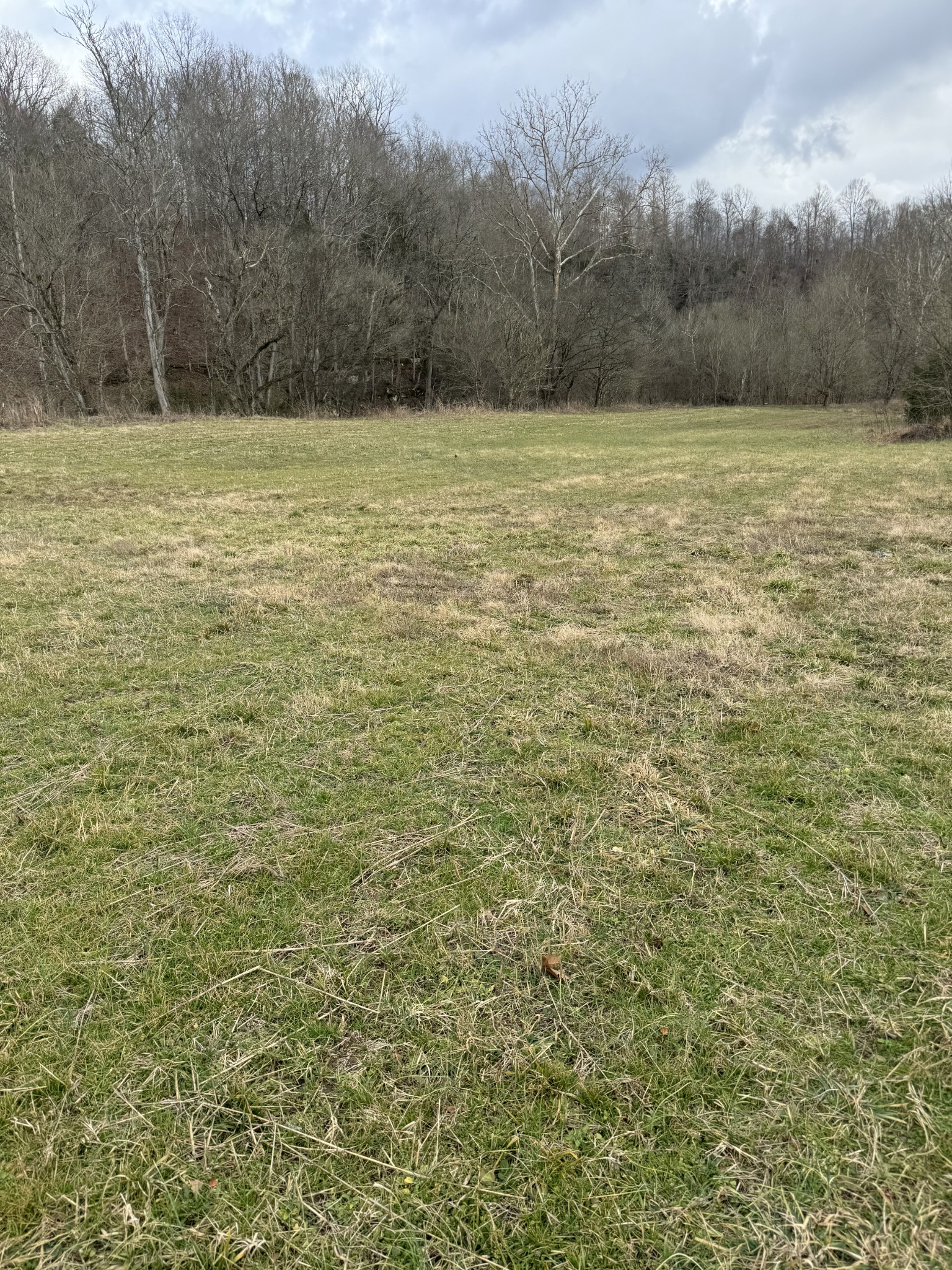 1234 Galen Road Property Photo 2