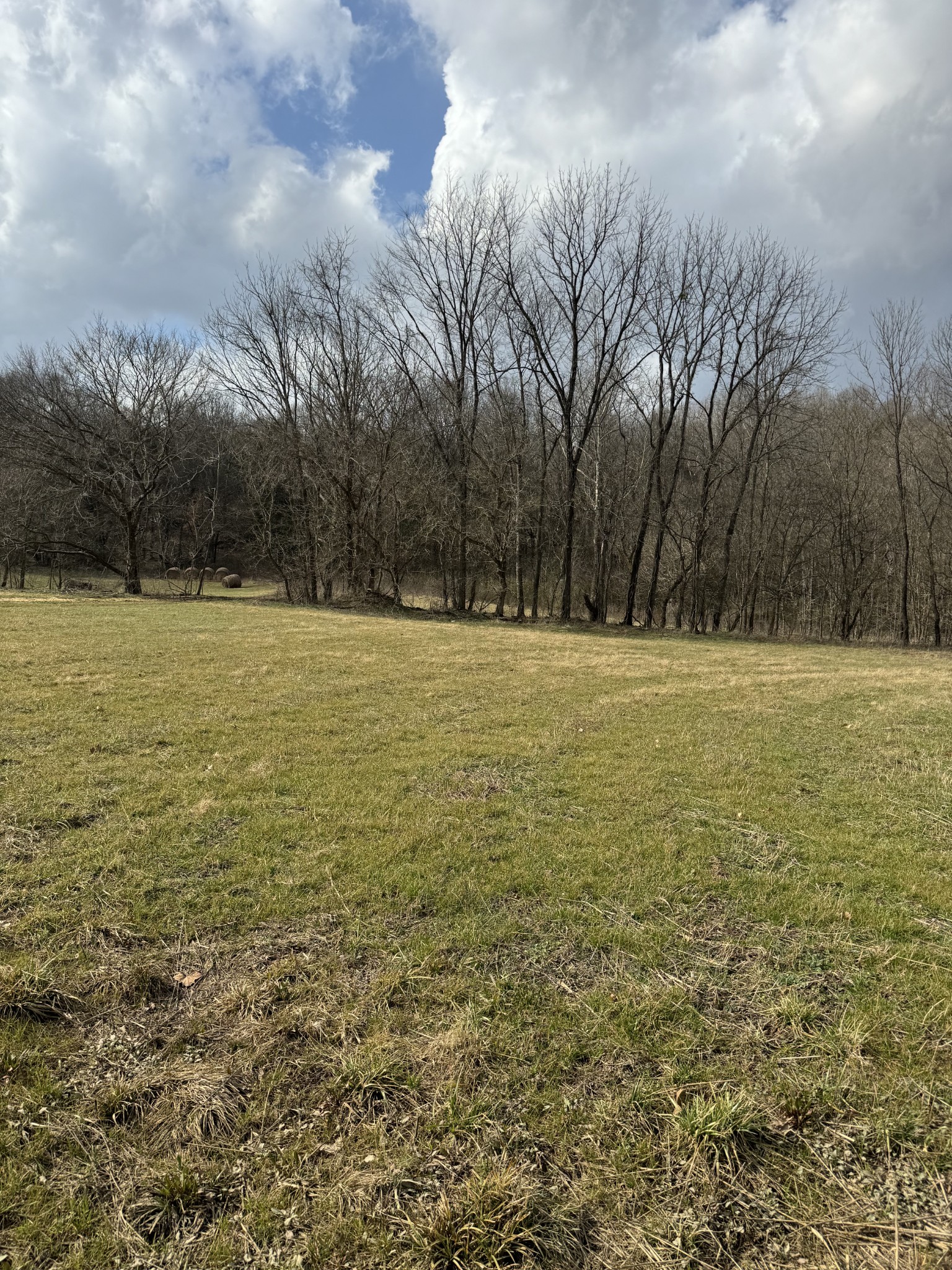 1234 Galen Road Property Photo 3