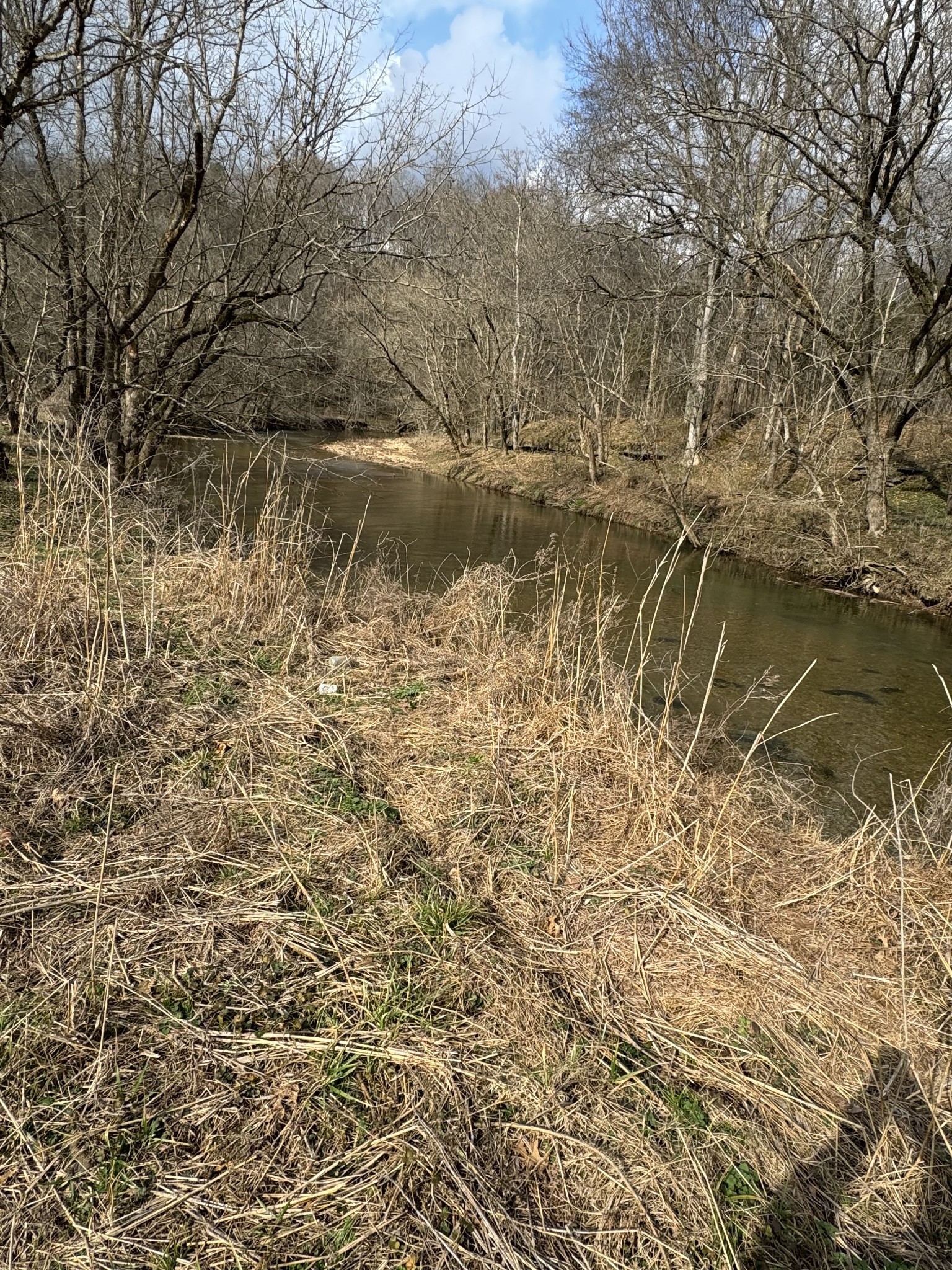 1234 Galen Road Property Photo 4