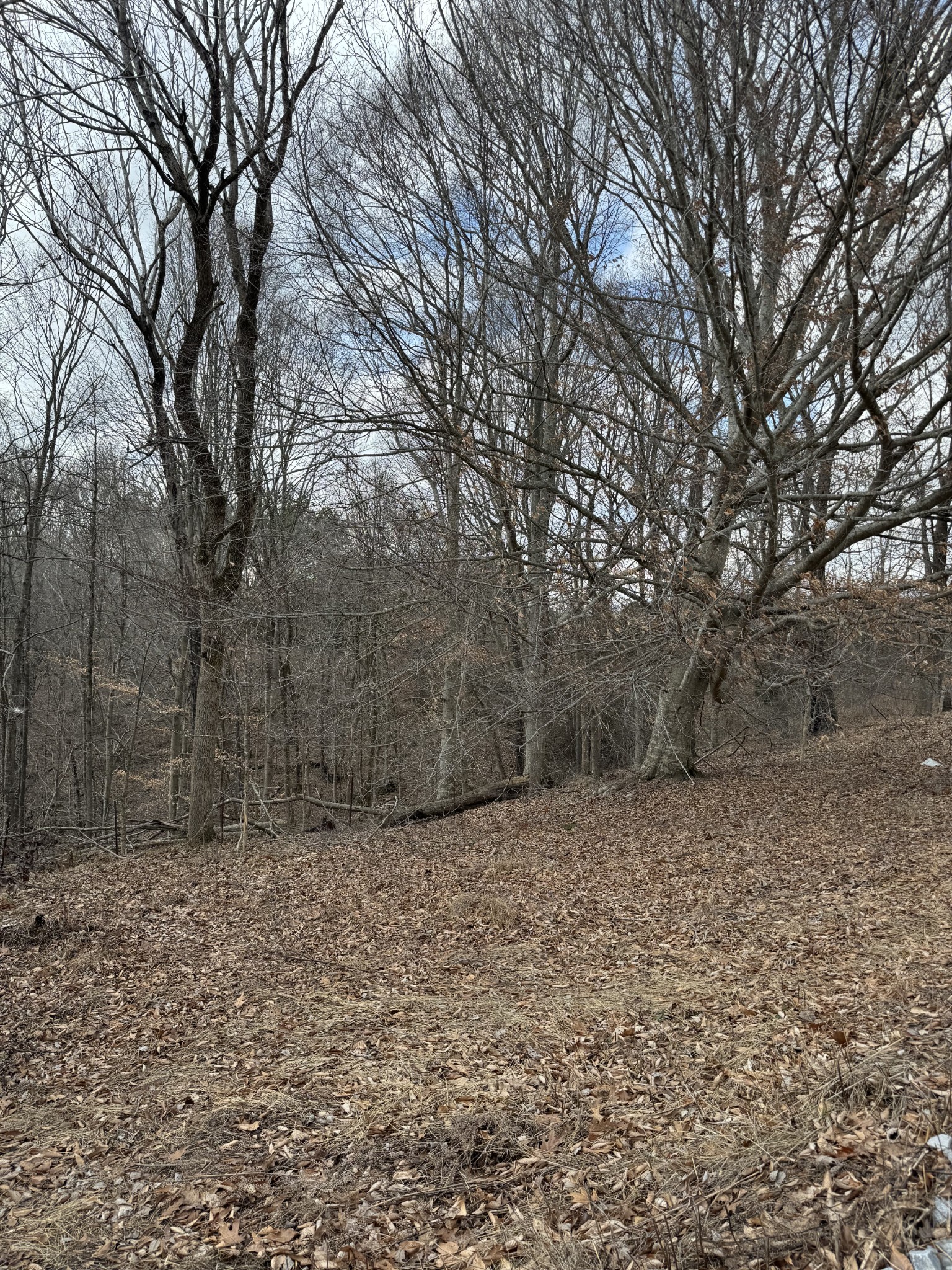 1234 Galen Road Property Photo 6