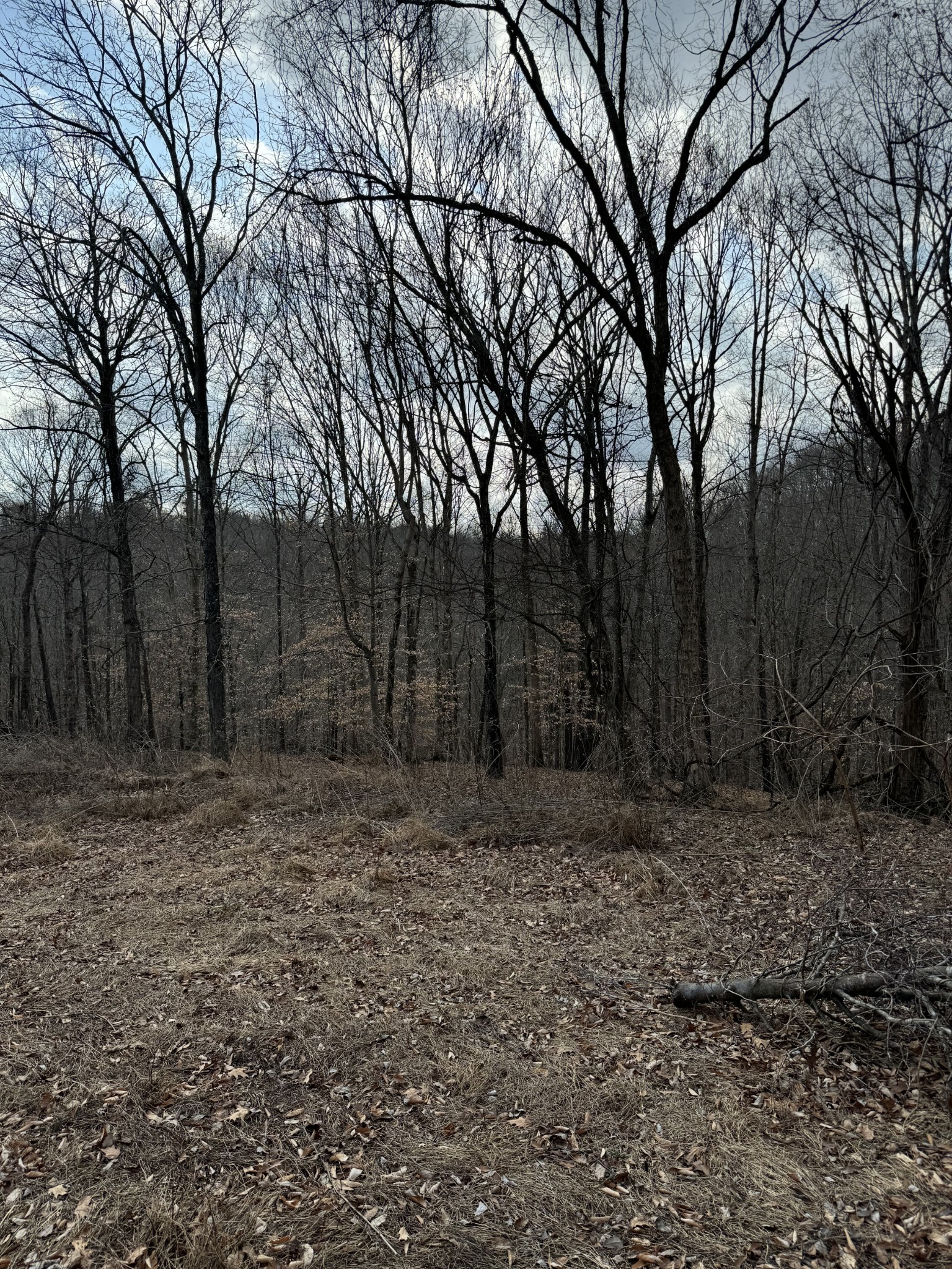 1234 Galen Road Property Photo 7