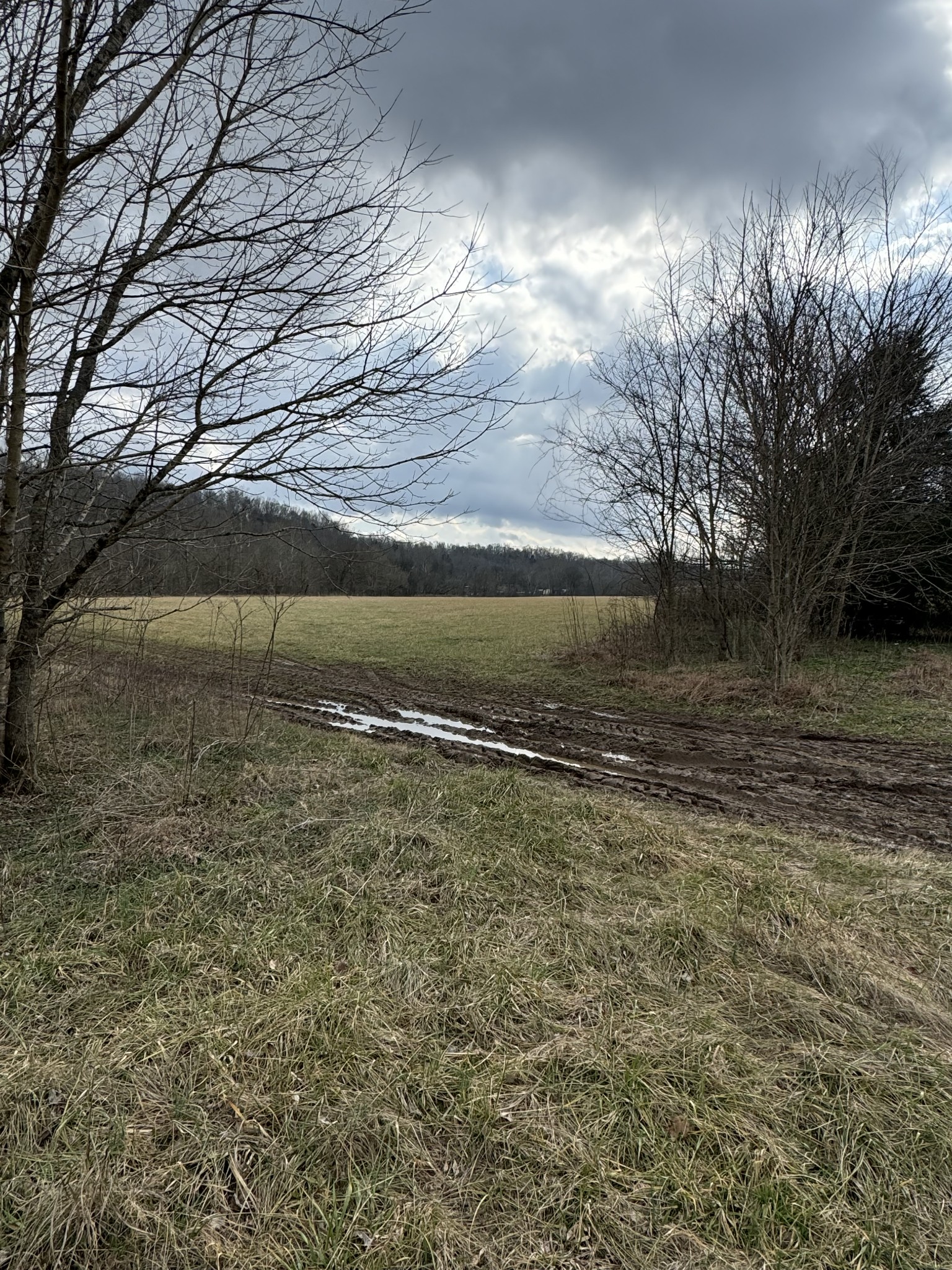 1234 Galen Road Property Photo 8