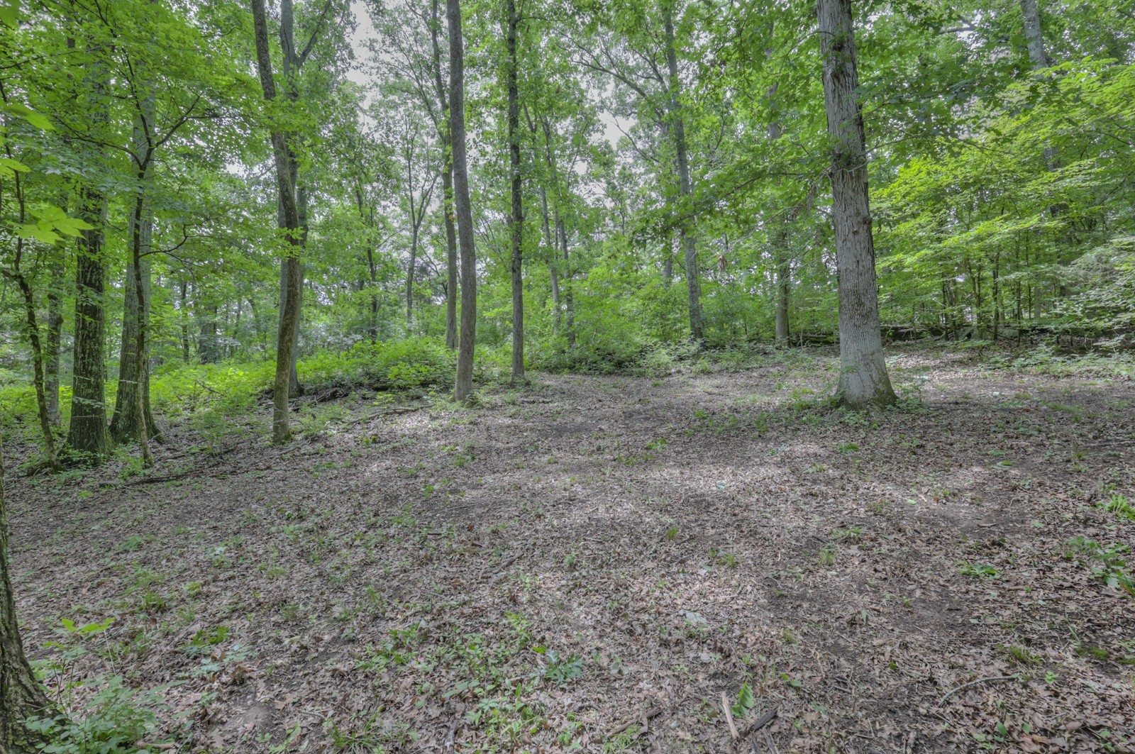 915 Bluff Rd Property Photo 6