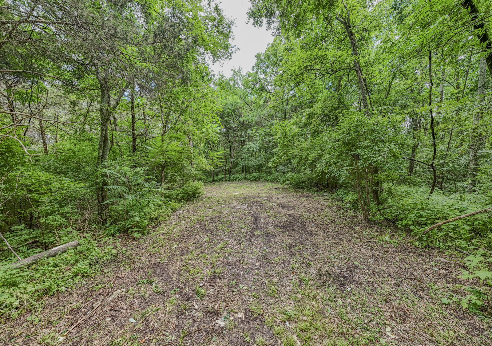 915 Bluff Rd Property Photo 13