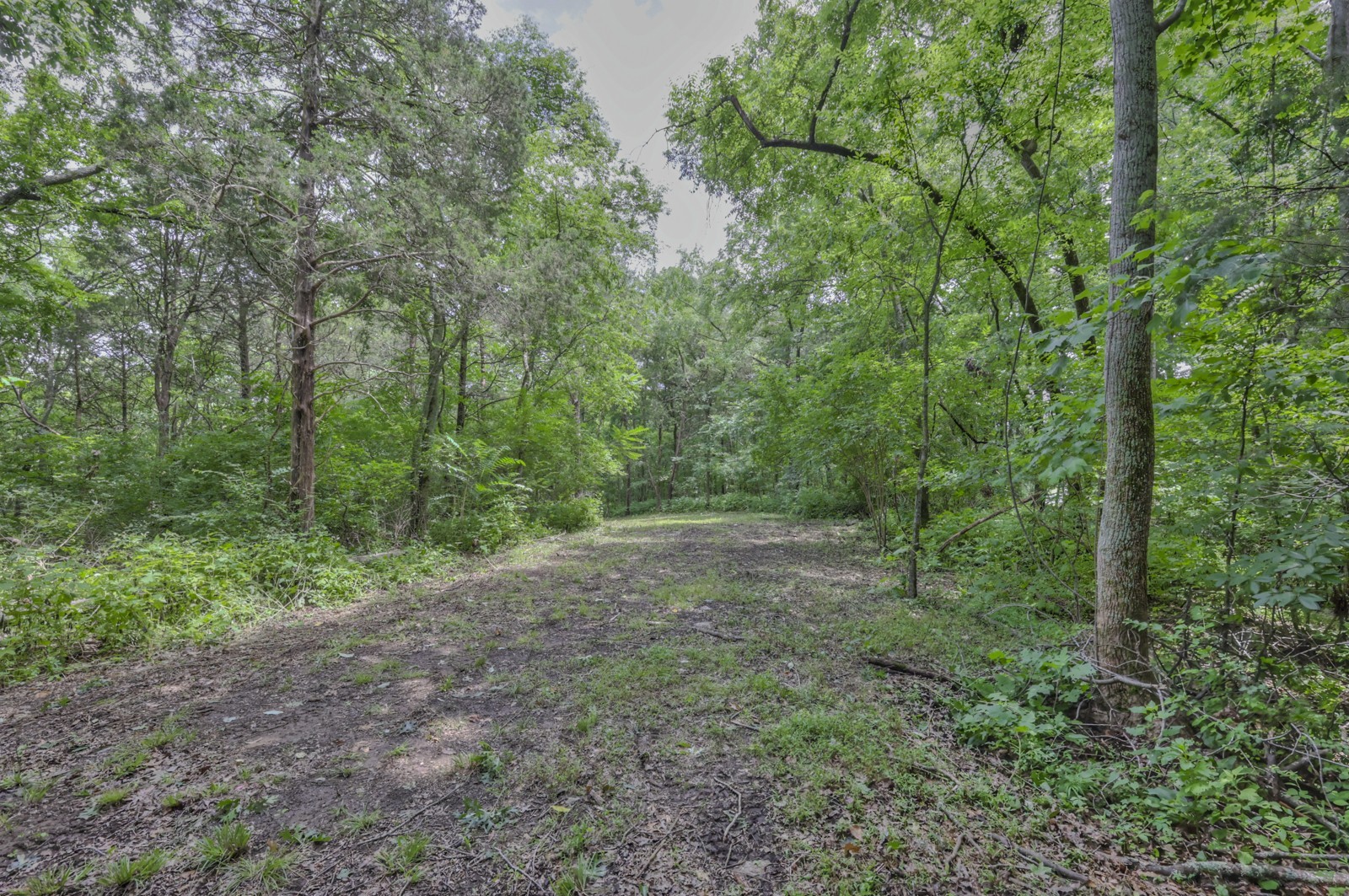 915 Bluff Rd Property Photo 14