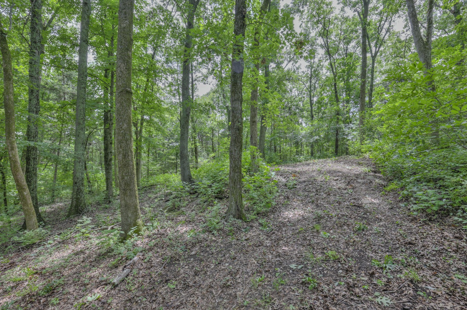 915 Bluff Rd Property Photo 15