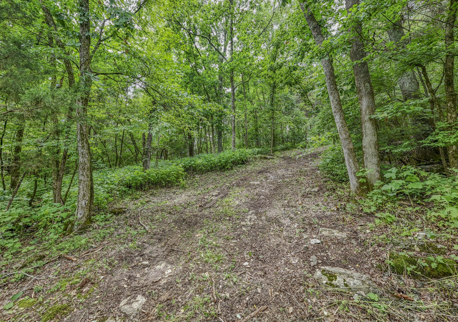 915 Bluff Rd Property Photo 16