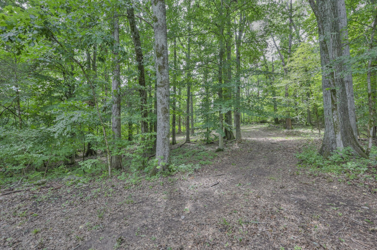 915 Bluff Rd Property Photo 17