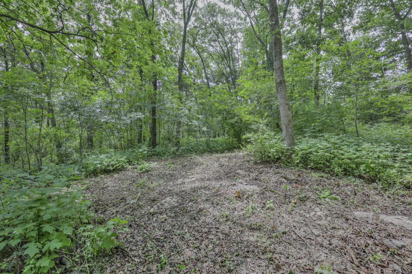 915 Bluff Rd Property Photo 19
