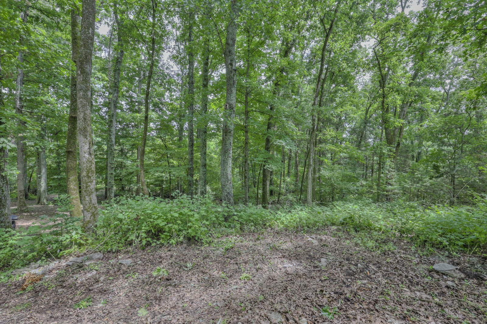 915 Bluff Rd Property Photo 20