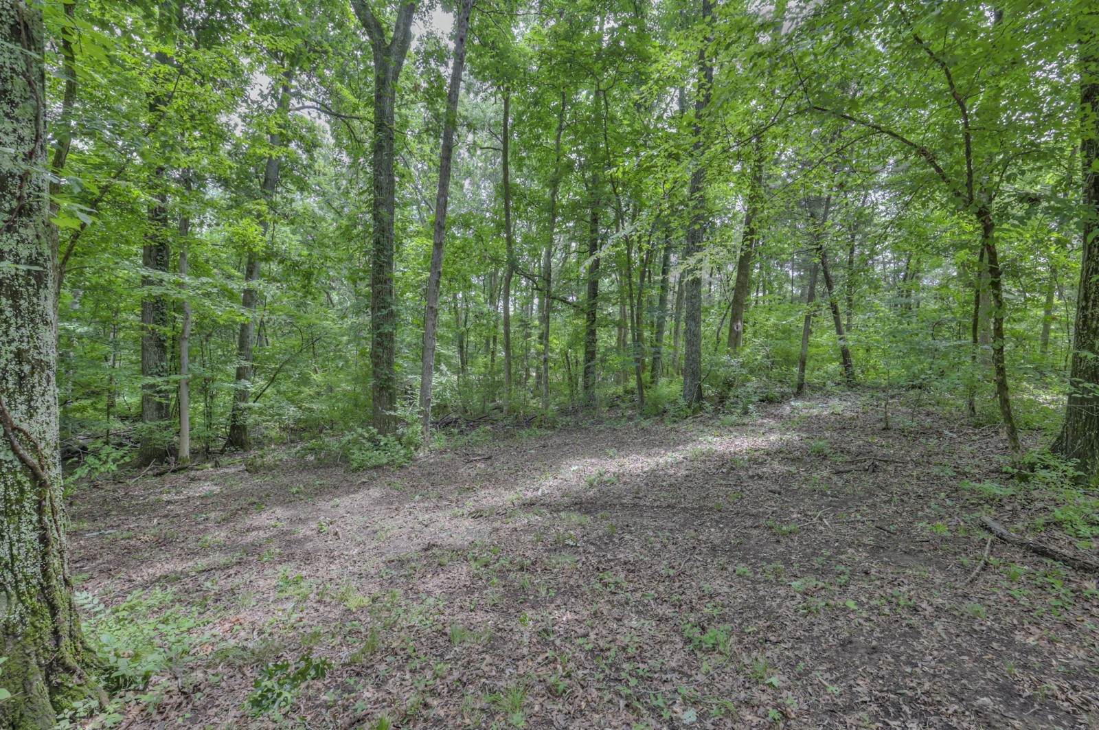 915 Bluff Rd Property Photo 21