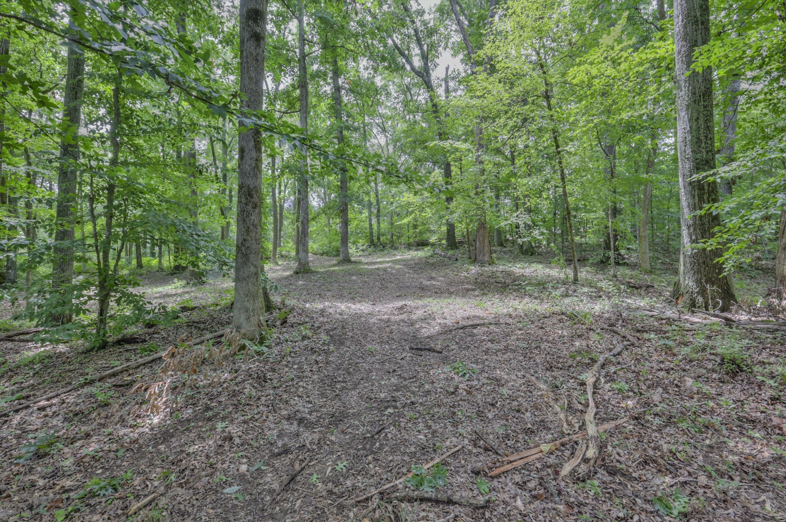 915 Bluff Rd Property Photo 22