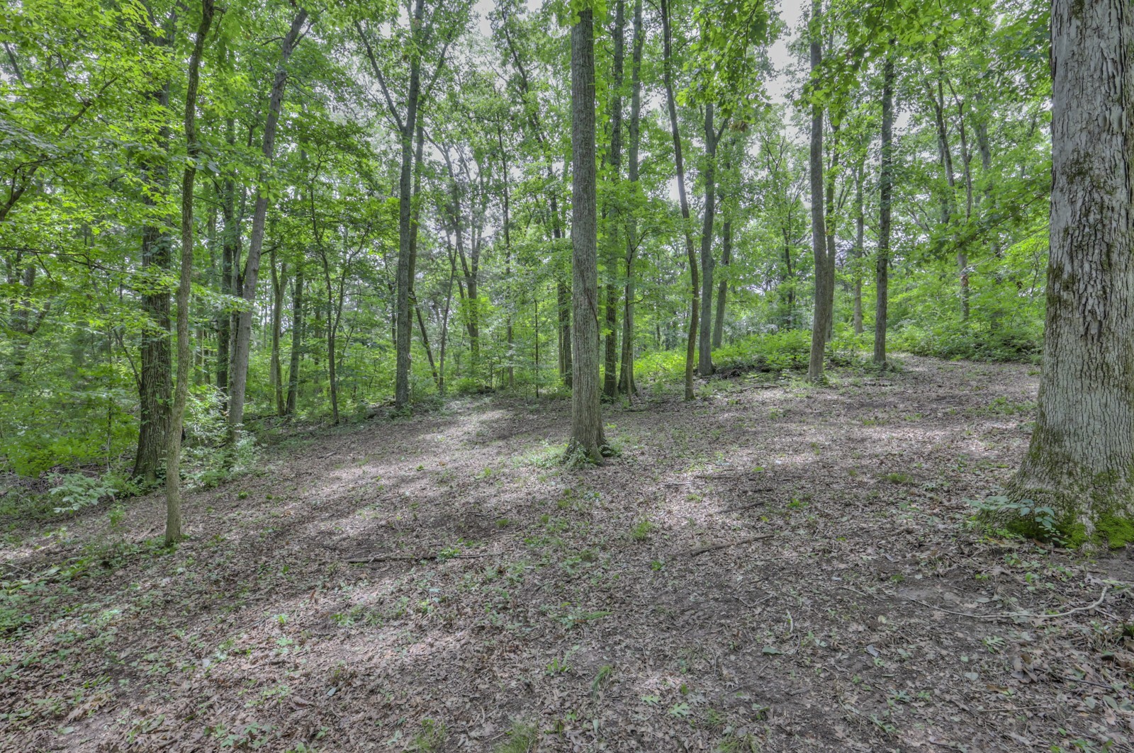 915 Bluff Rd Property Photo 23