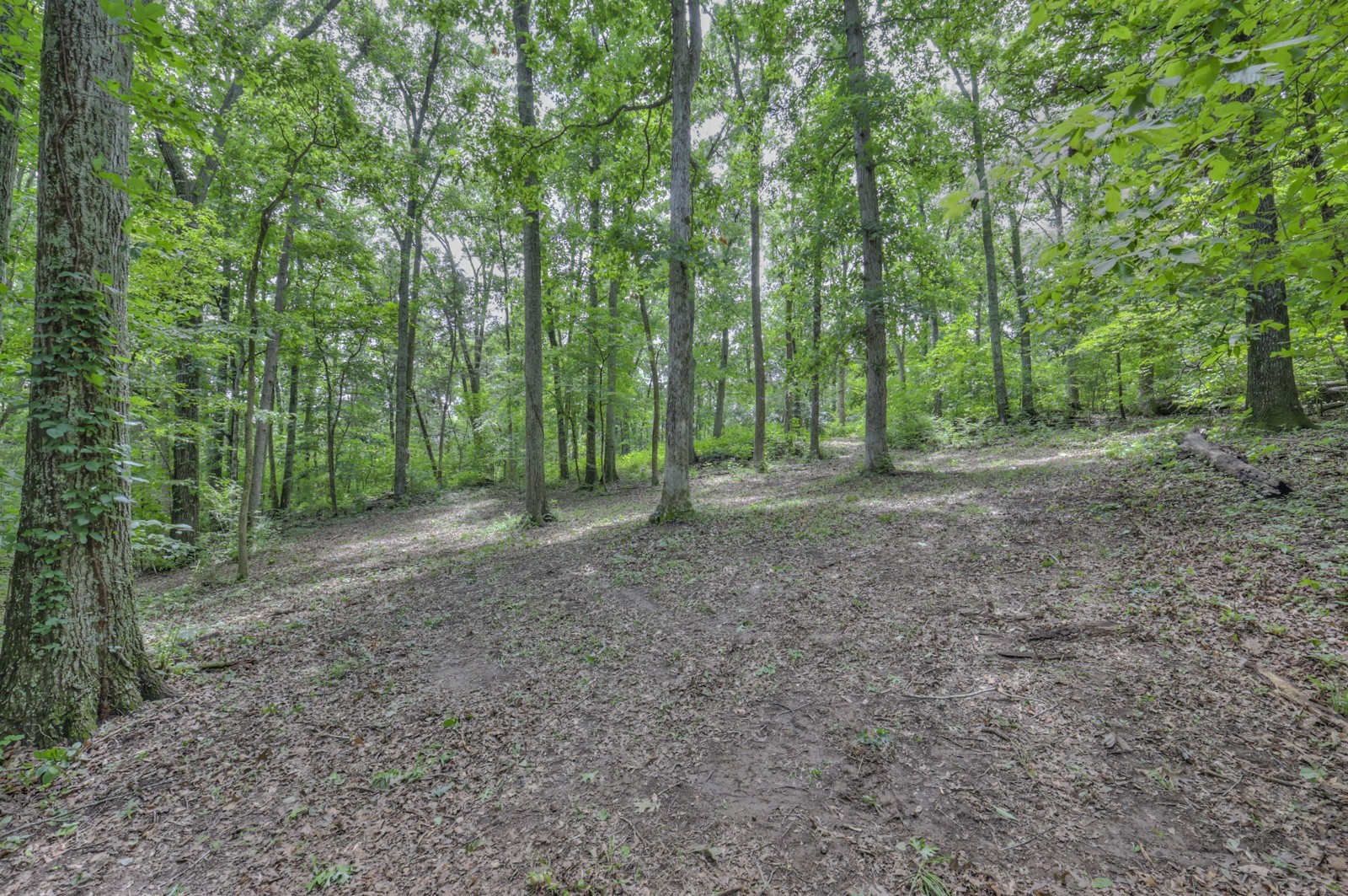 915 Bluff Rd Property Photo 24