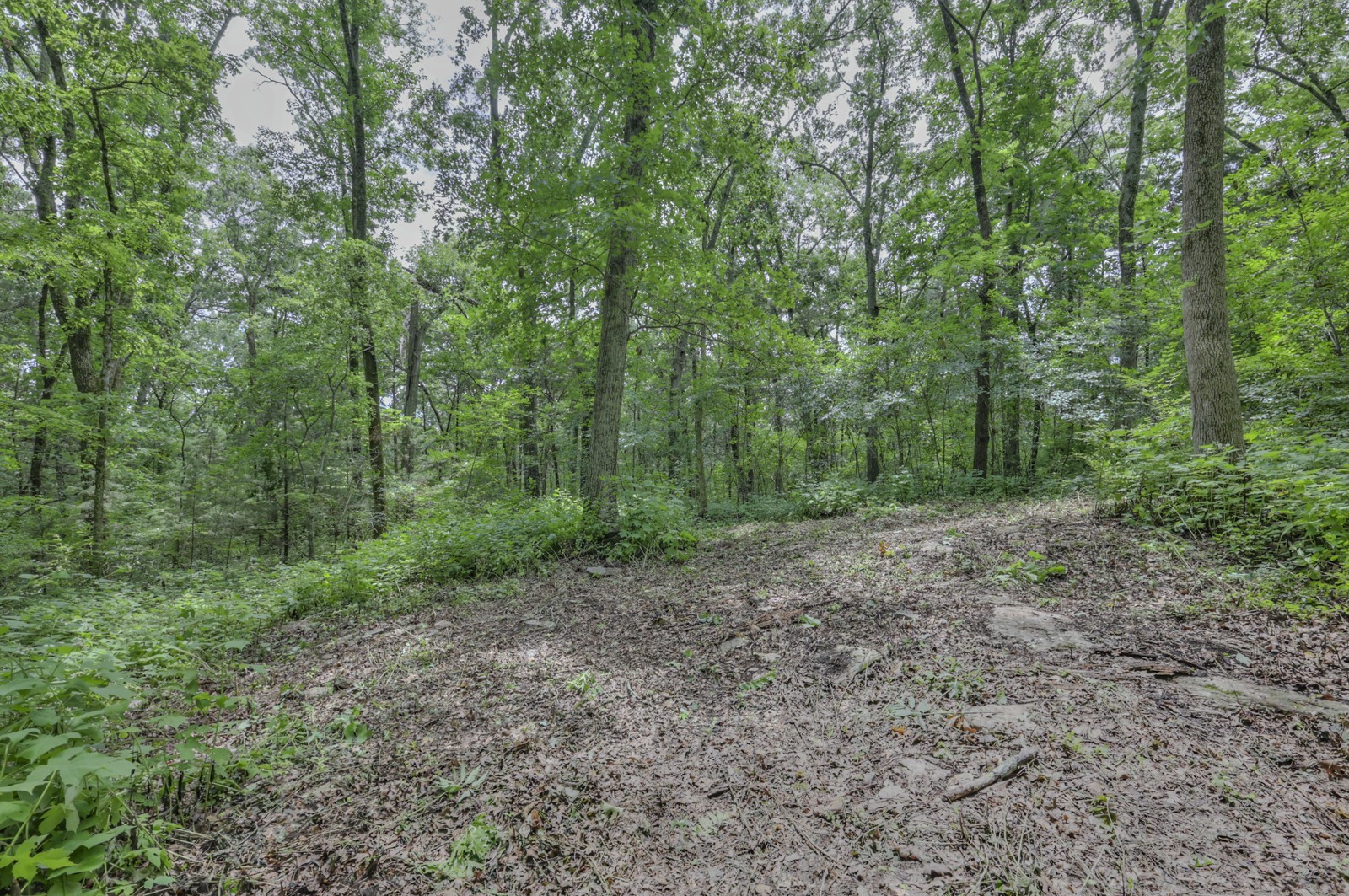 915 Bluff Rd Property Photo 25