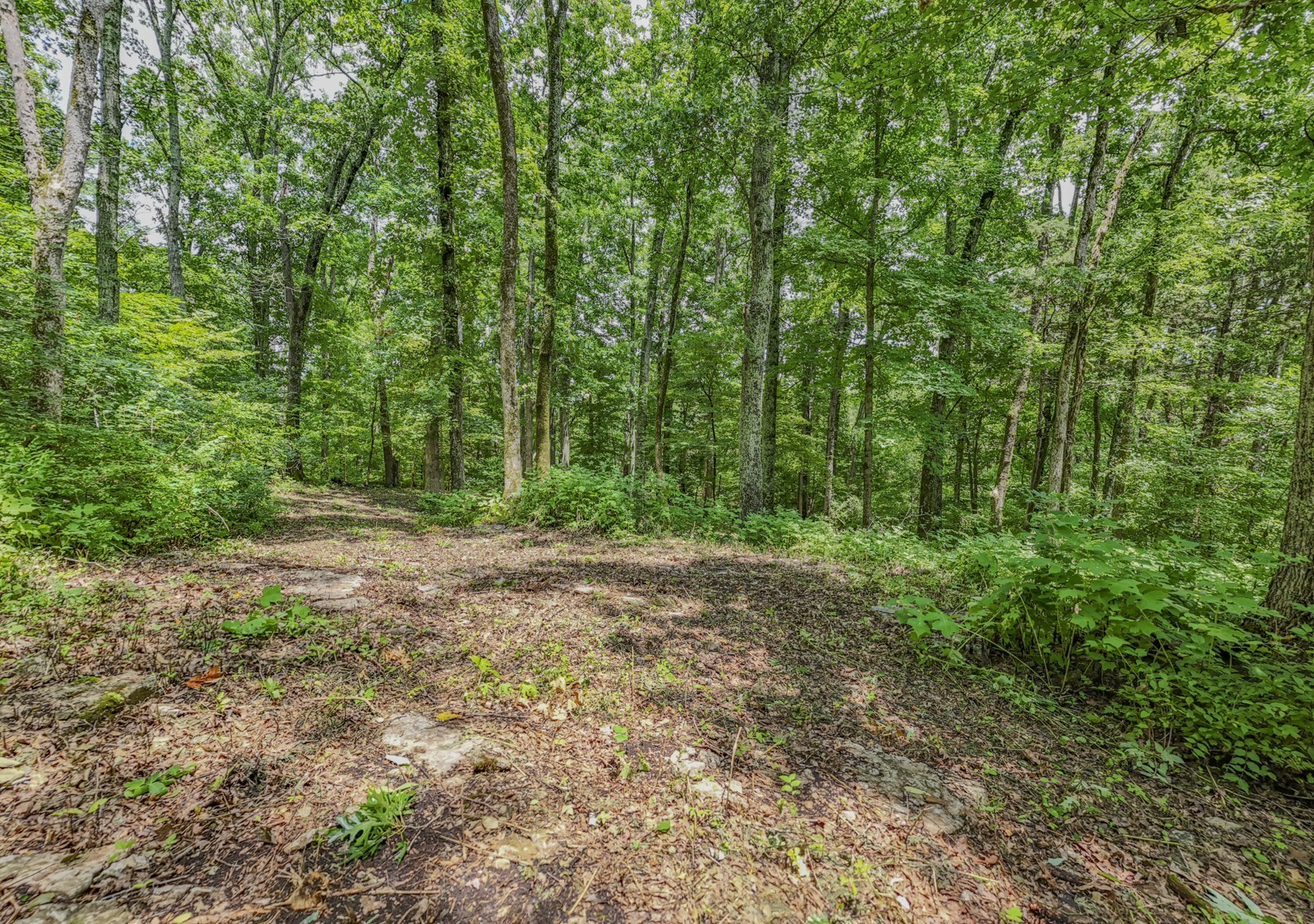 915 Bluff Rd Property Photo 26