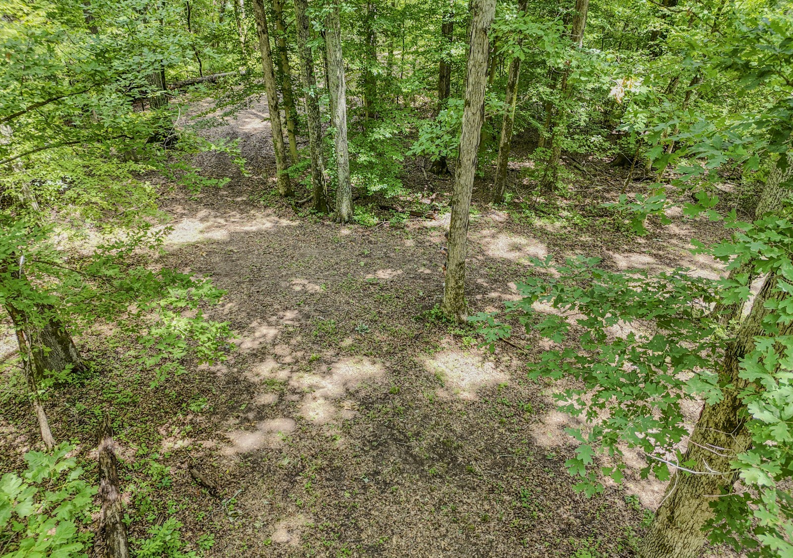 915 Bluff Rd Property Photo 27