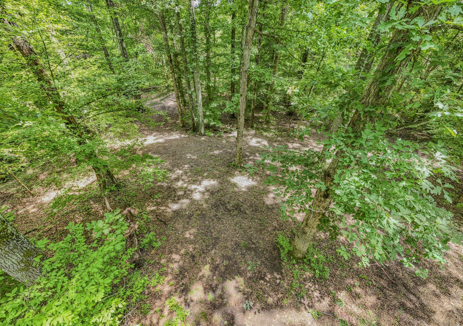 915 Bluff Rd Property Photo 28