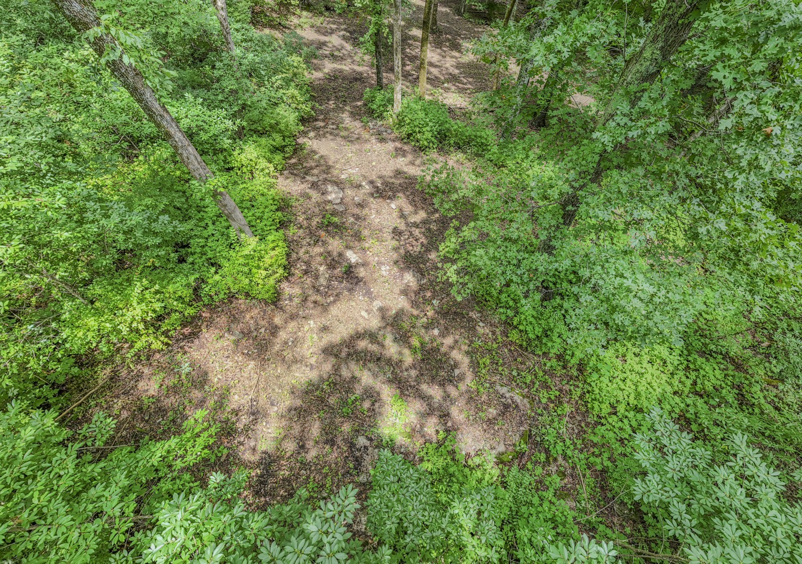 915 Bluff Rd Property Photo 29