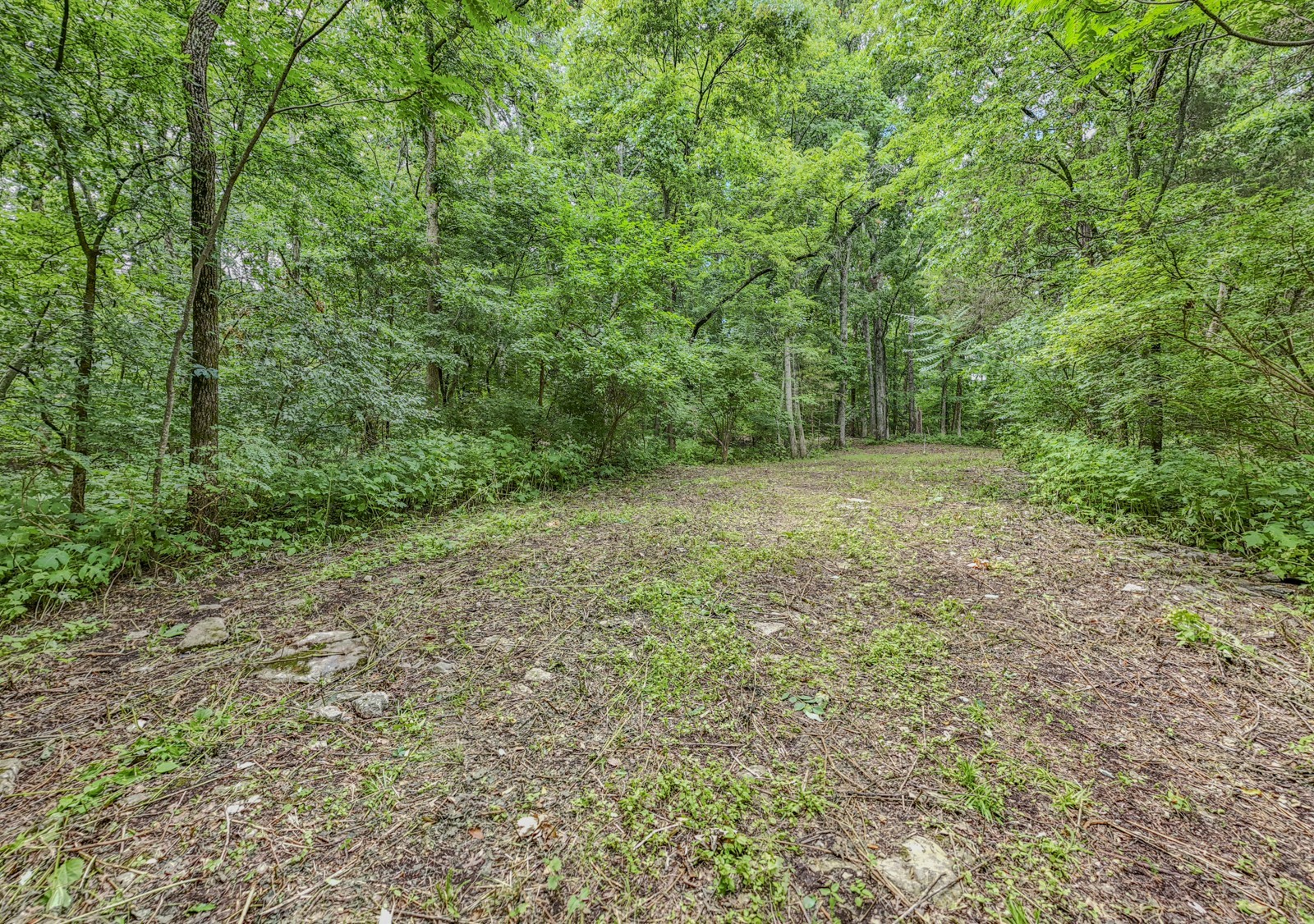 915 Bluff Rd Property Photo 32