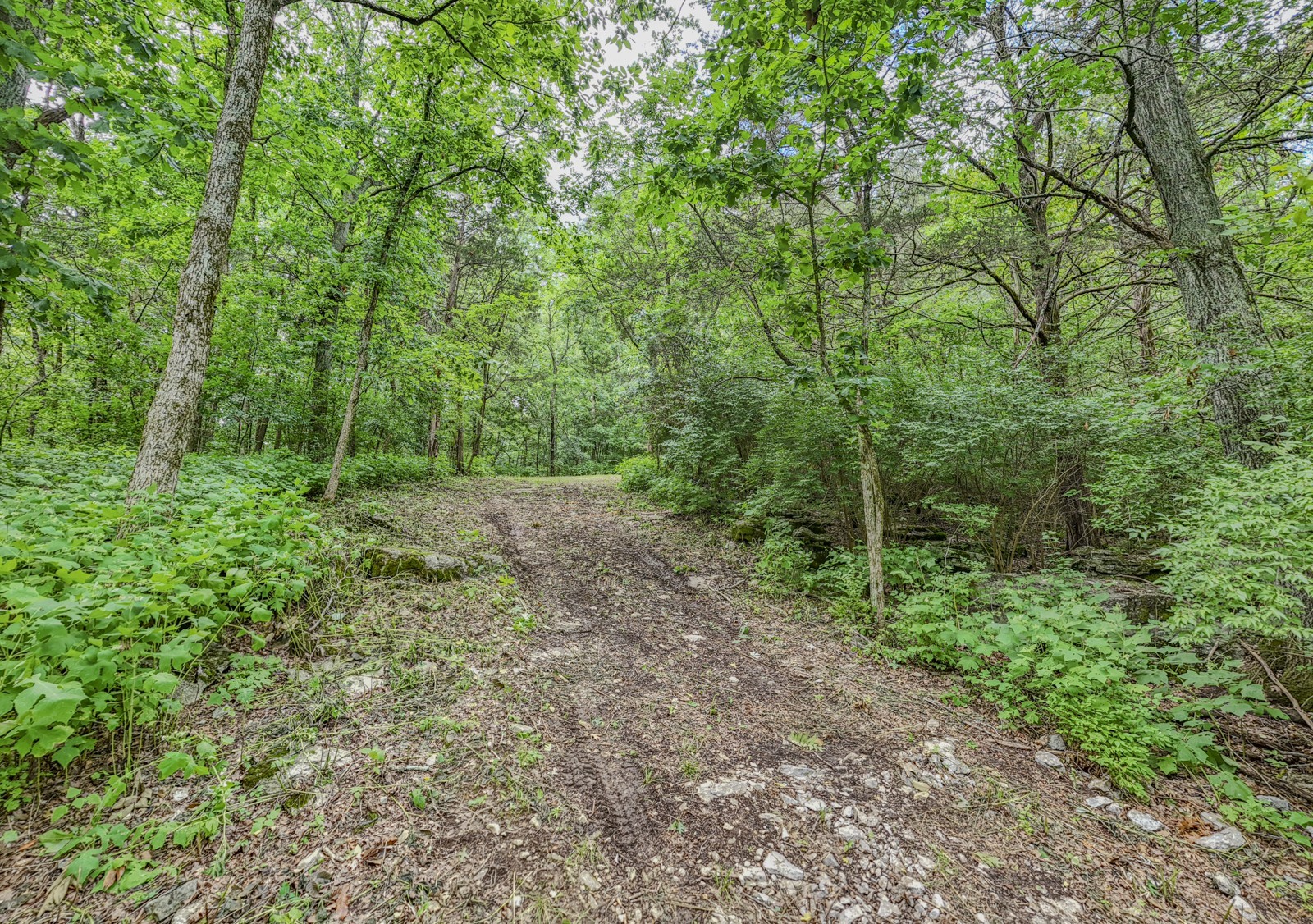 915 Bluff Rd Property Photo 33