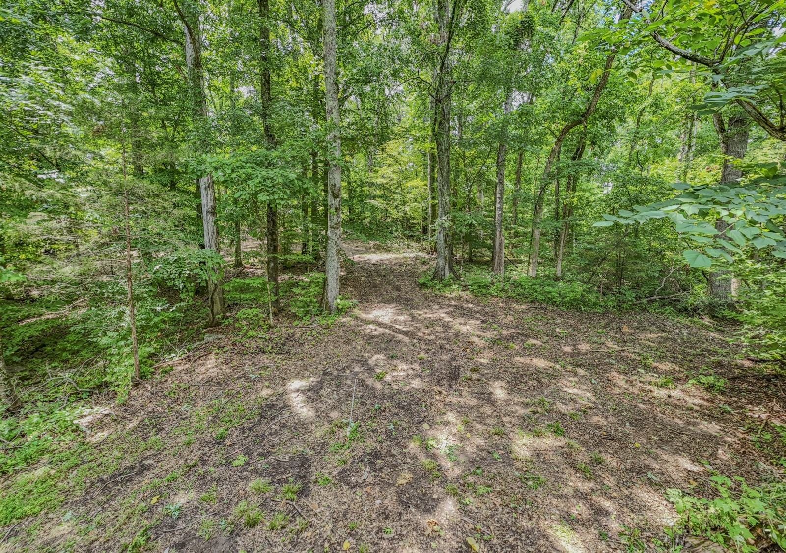 915 Bluff Rd Property Photo 38
