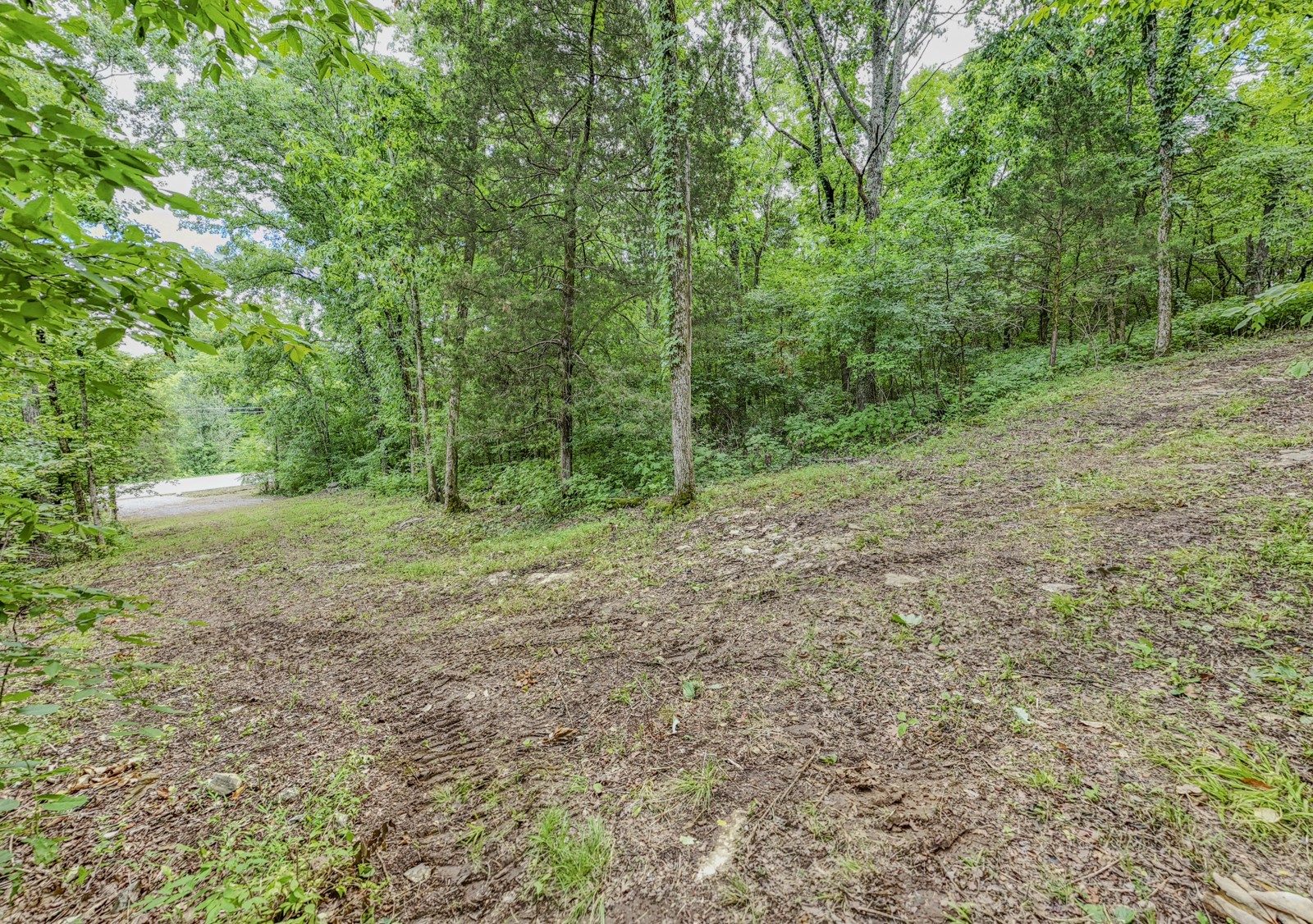 915 Bluff Rd Property Photo 40