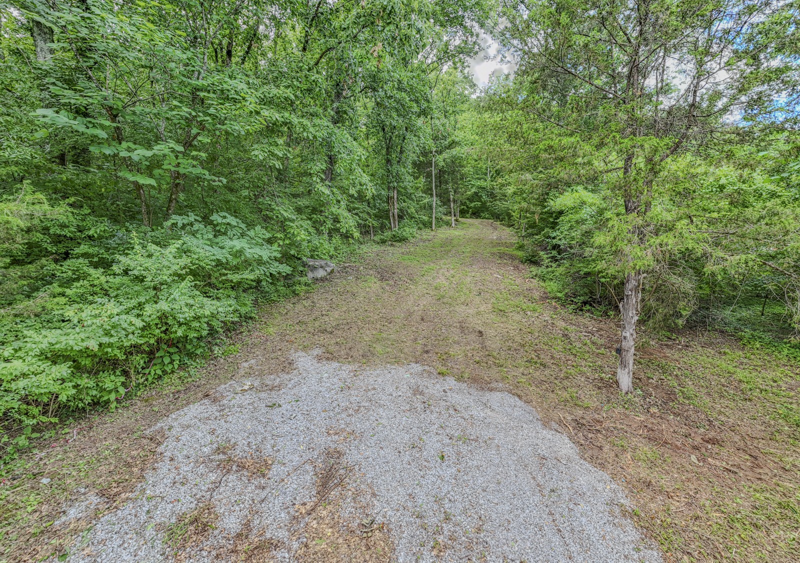 915 Bluff Rd Property Photo 41