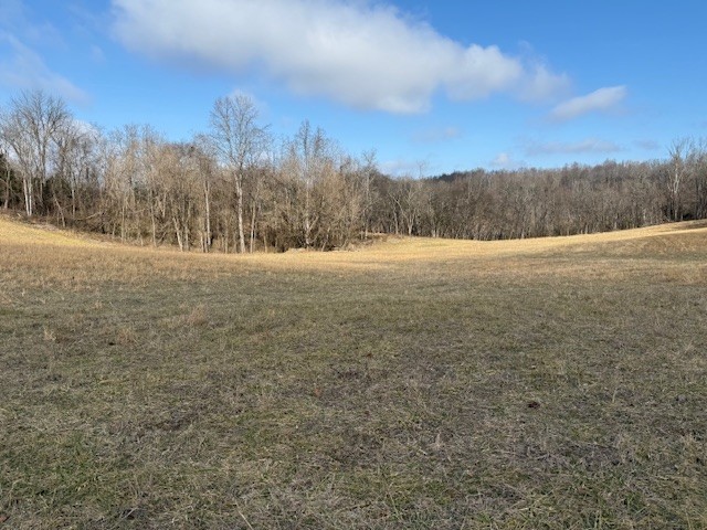 1 Powell Hollow Property Photo 2