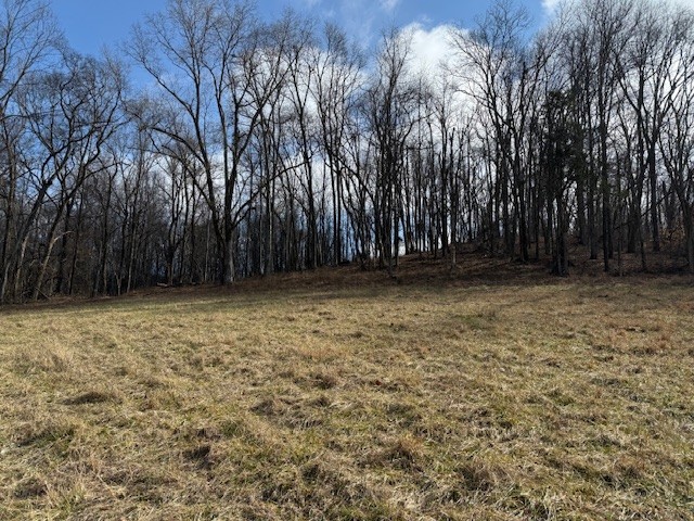 1 Powell Hollow Property Photo 4
