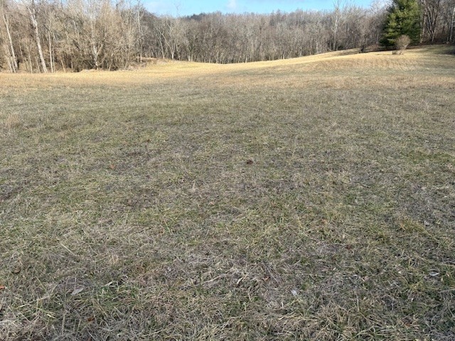 1 Powell Hollow Property Photo 5