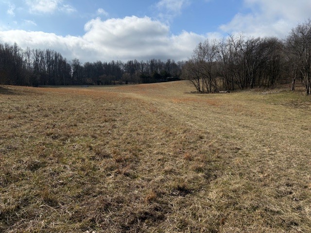1 Powell Hollow Property Photo 6