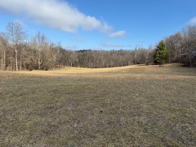 1 Powell Hollow Property Photo 7