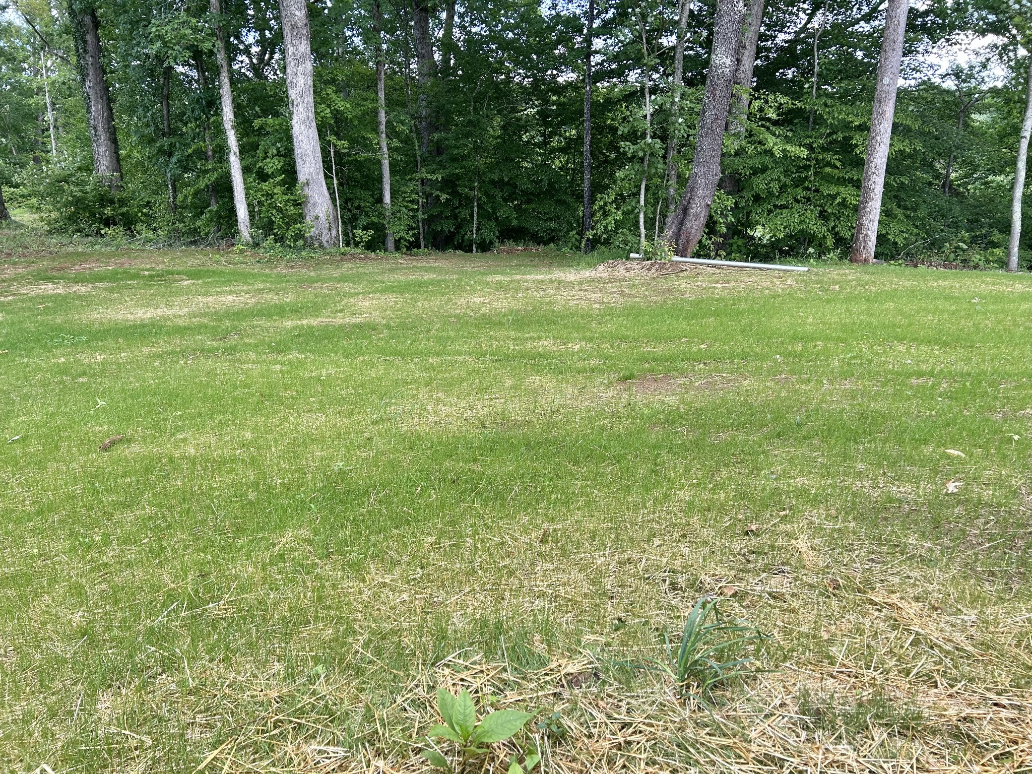 112 Beechwood Drive Property Photo 19
