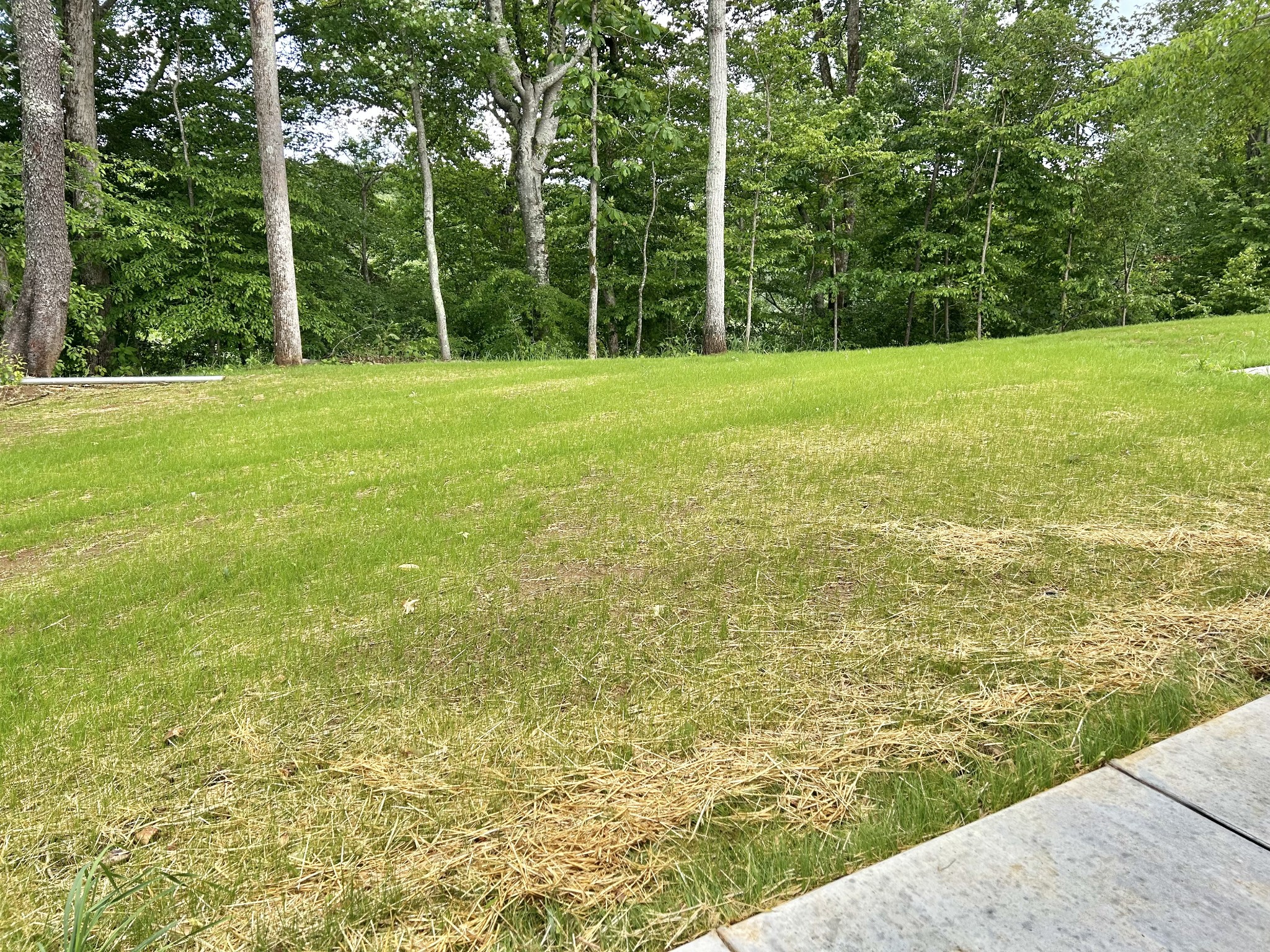 112 Beechwood Drive Property Photo 20