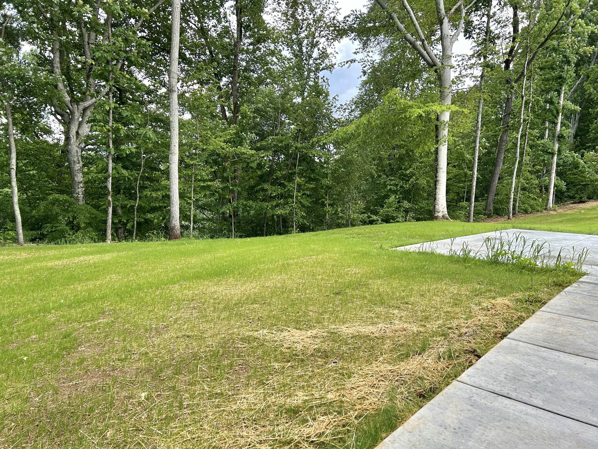 112 Beechwood Drive Property Photo 21